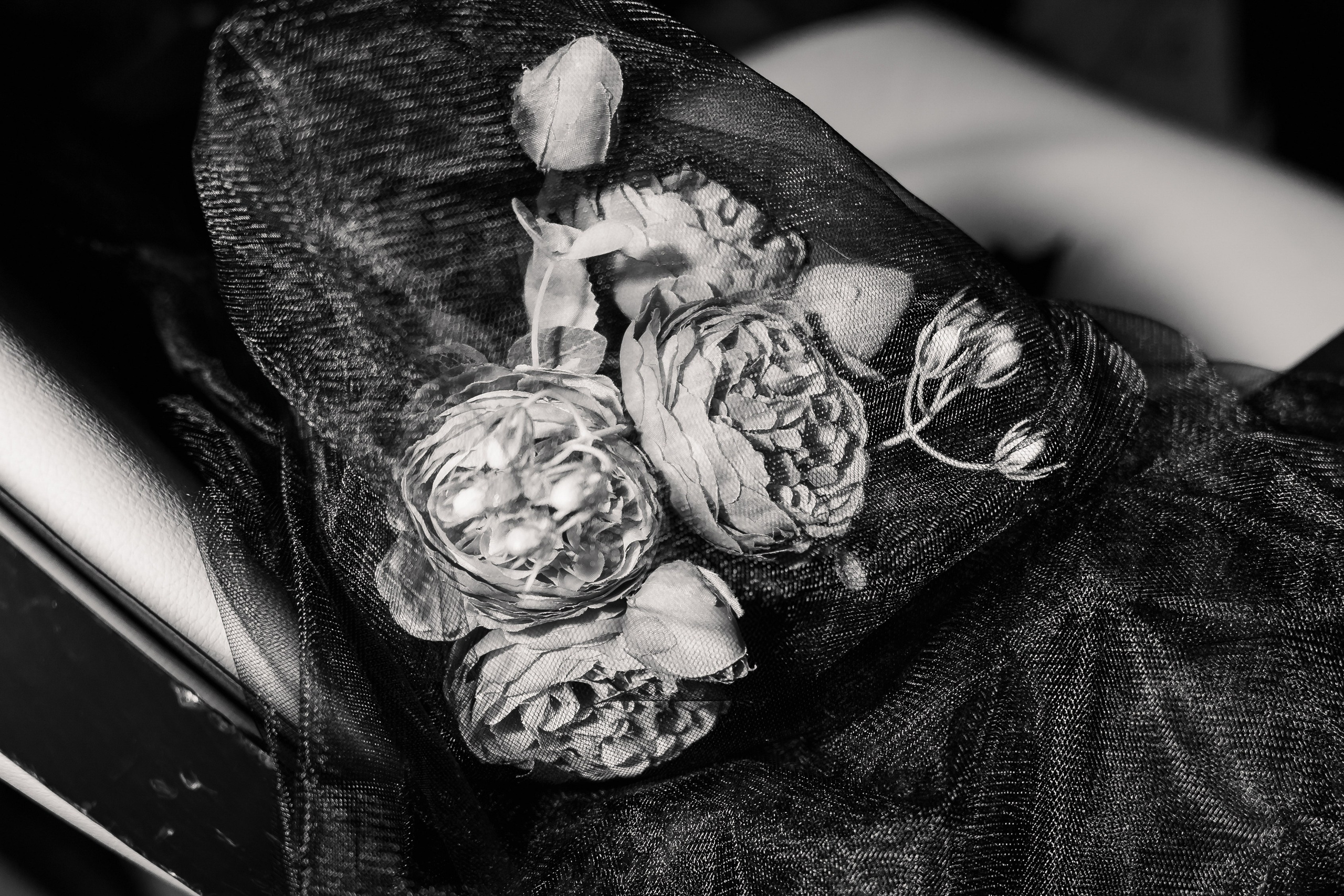 День рождения «Буду Завтра». Фотограф Ярославль — Роман Андреев