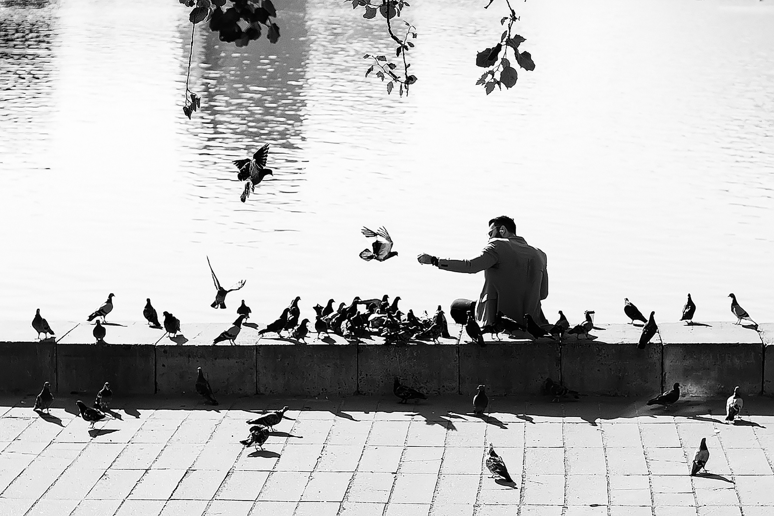 Фотография. Современное искусство. Республика Беларусь. Минск