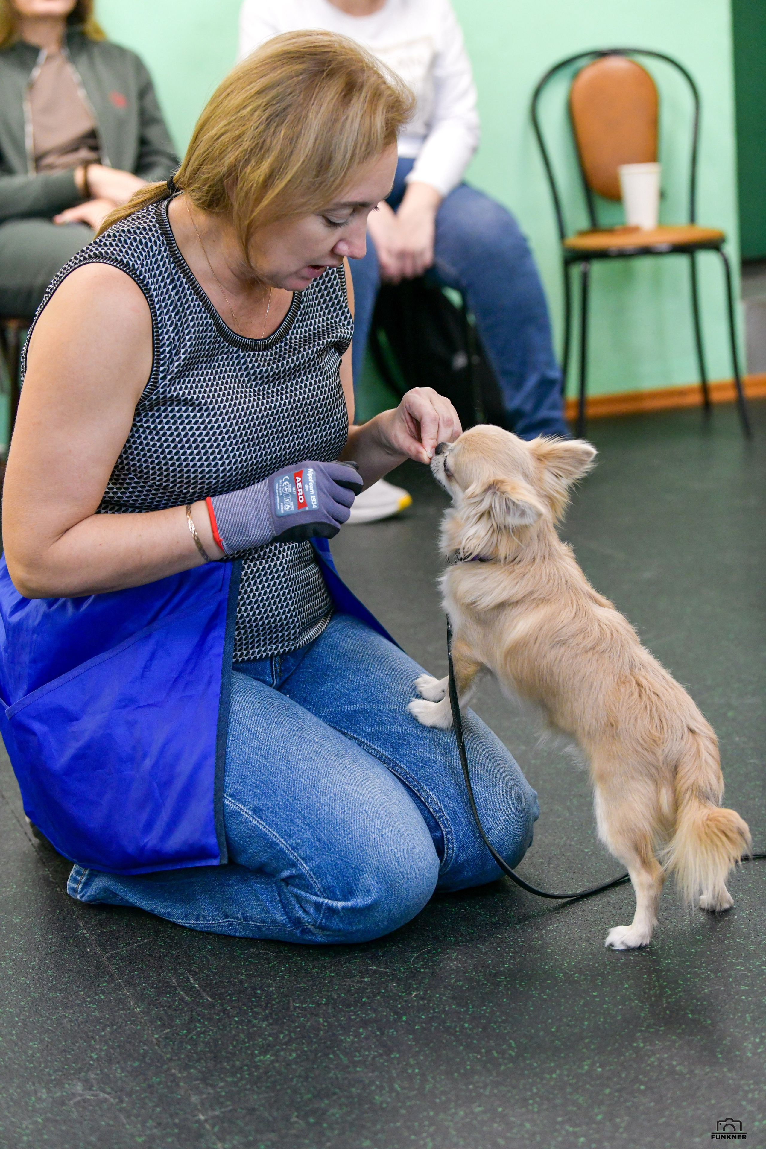 Кинологический клуб «Бодрый хвост». Свой взгляд через объектив
