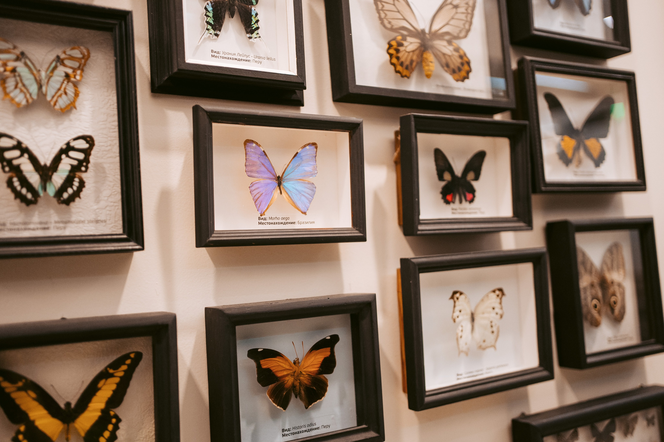 Ночь искусств 2023. Фотограф на любое событие в Кемерово