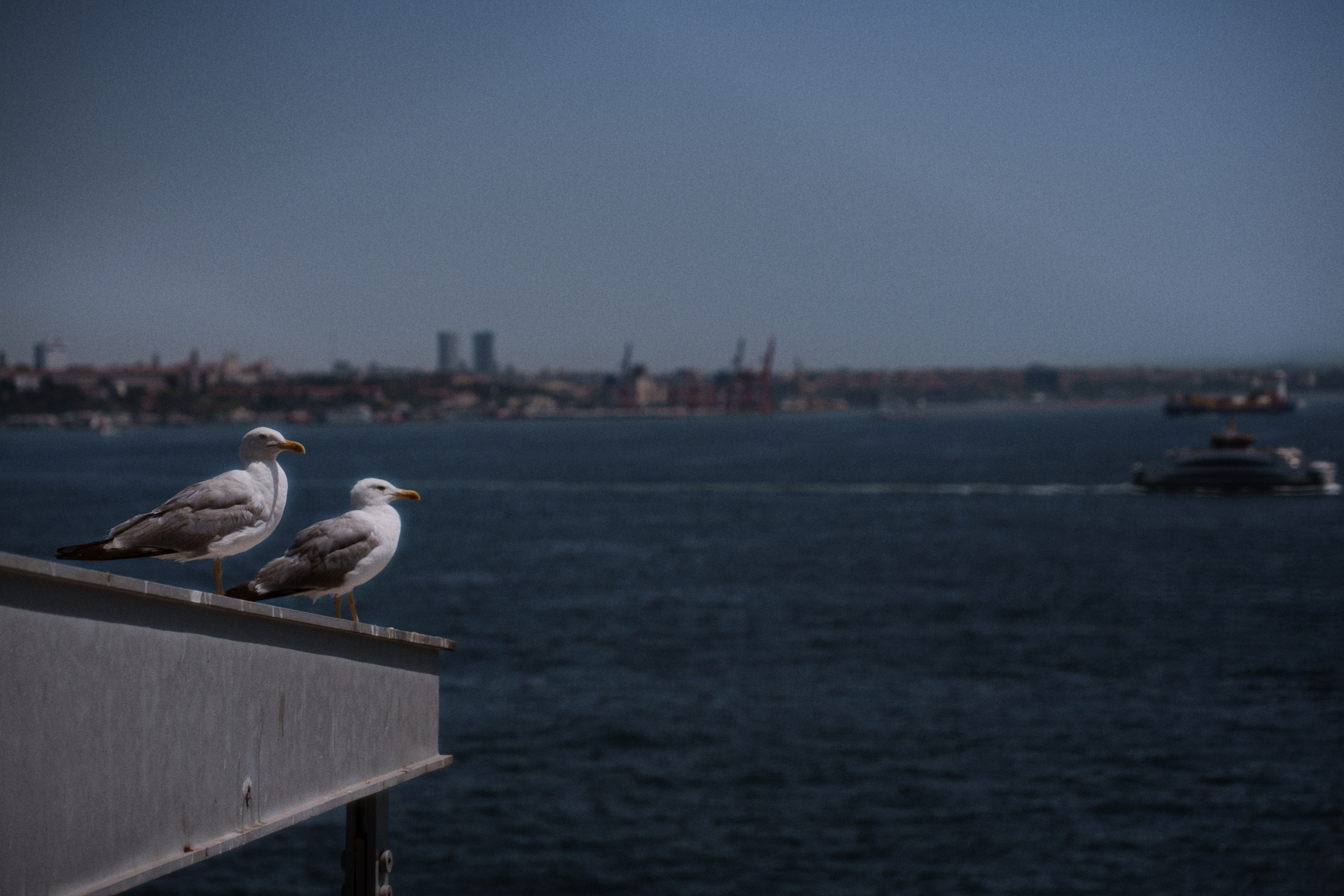 Istanbul Modern. Фотограф Юрин Евгений