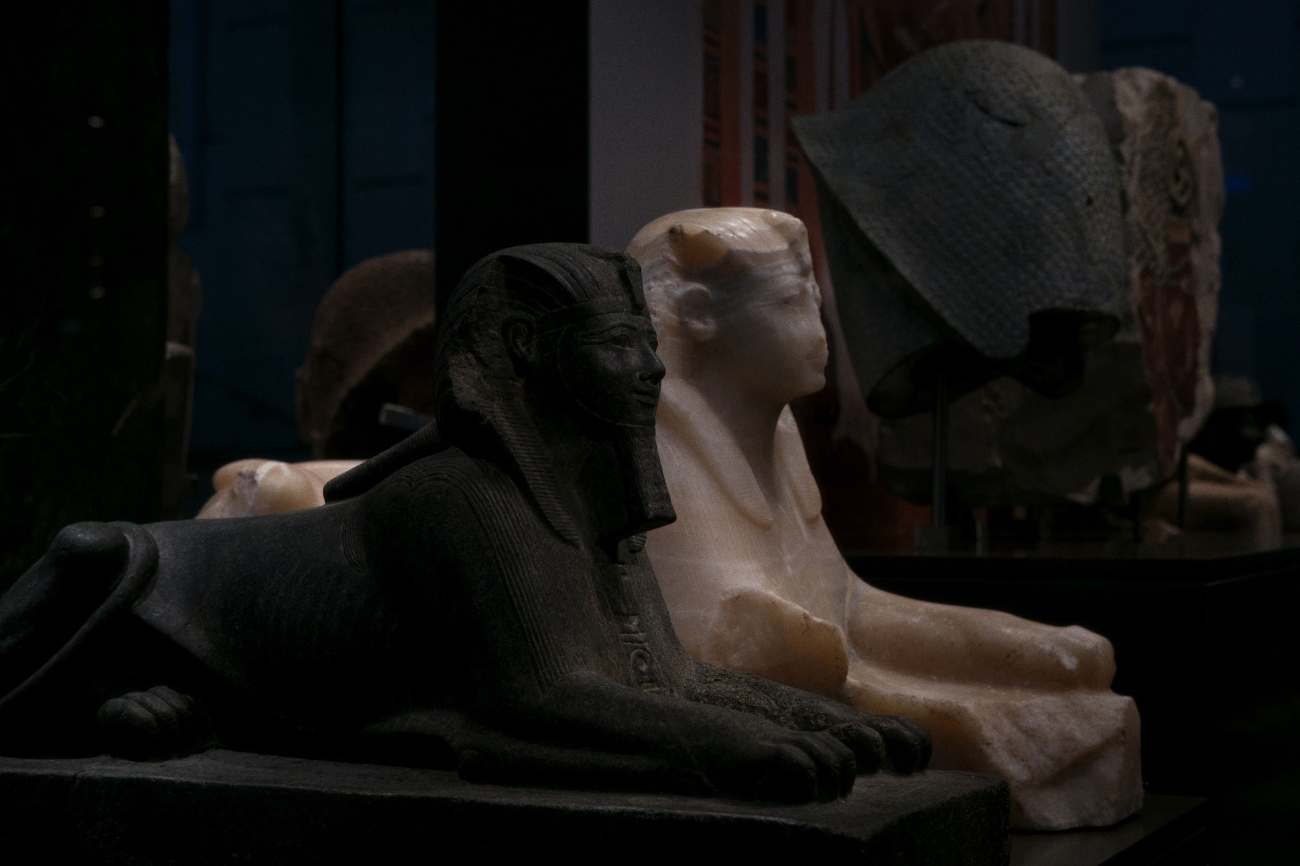 Grand Egyptian Museum / Cairo, Egypt AW25. Фотограф Юрин Евгений