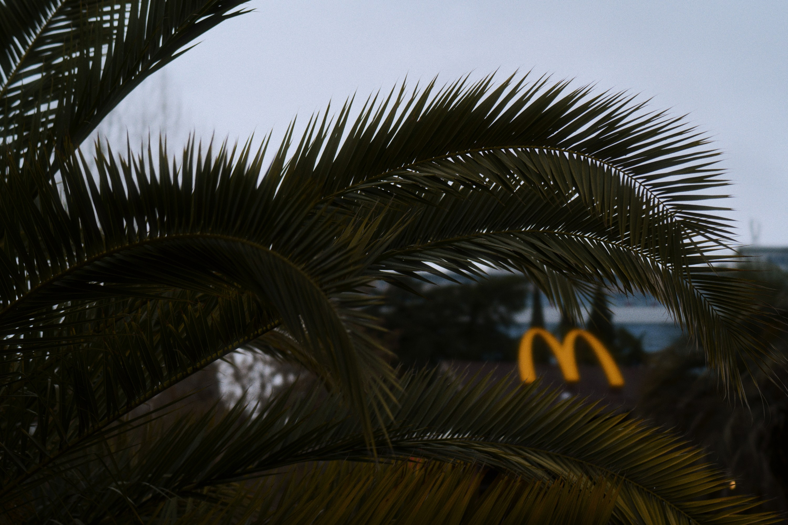Sochi port (morskaya). Фотограф Юрин Евгений