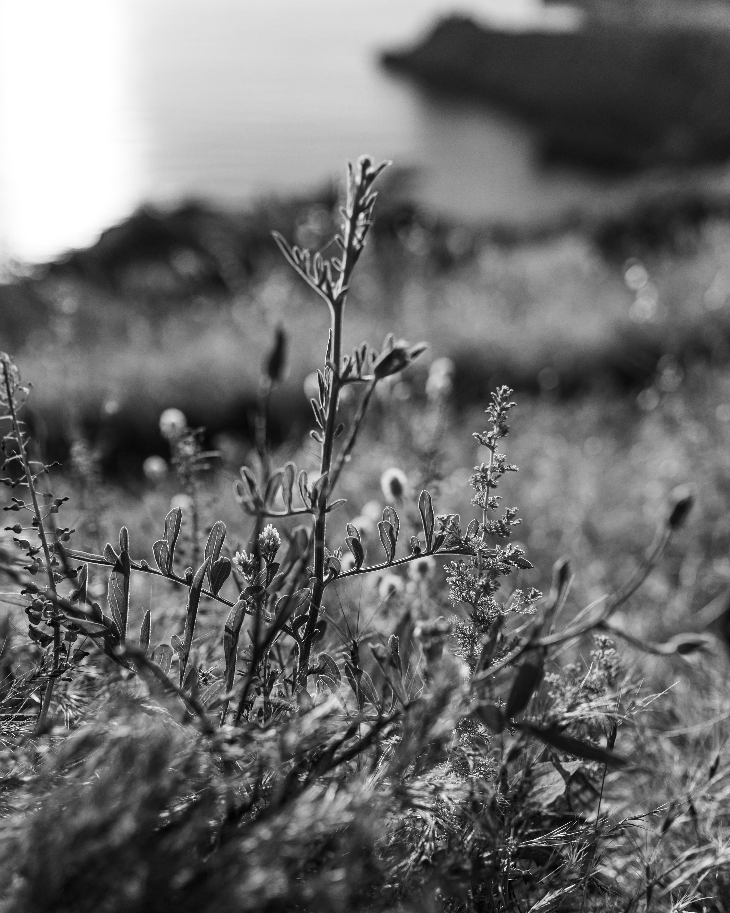 NATURE. Ирина — портретный фотограф в Севастополе