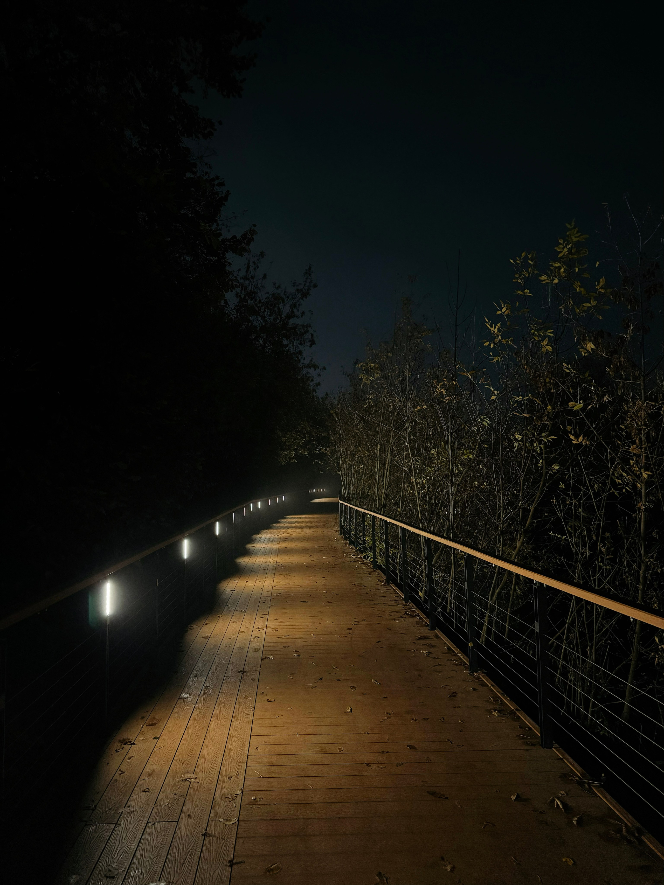 Фотопоток. Проект «Фотокладовка»: блог уличной фотографии в формате street photo