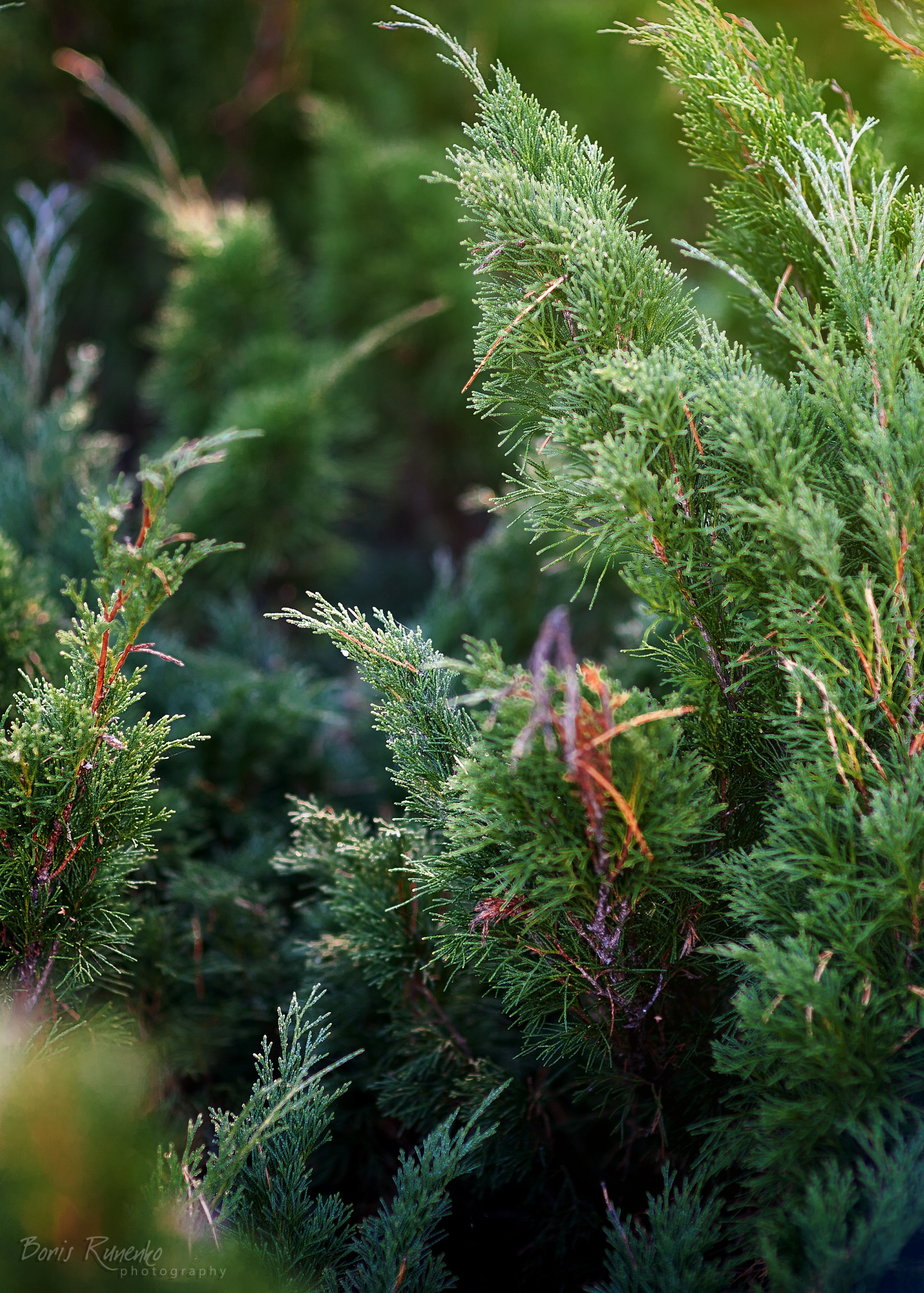 Пейзажный альбом 1. Борис Руненко. Пейзажный и travel-фотограф