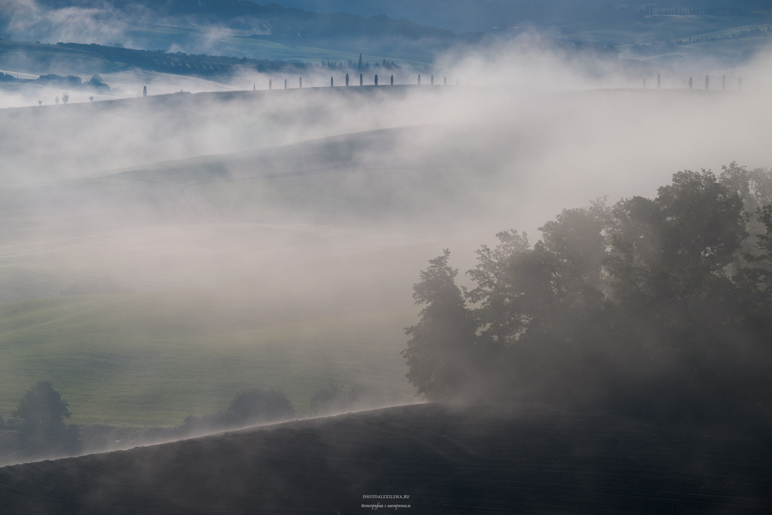 Волшебное утро в Тоскане. Авторские стильные фотокартины