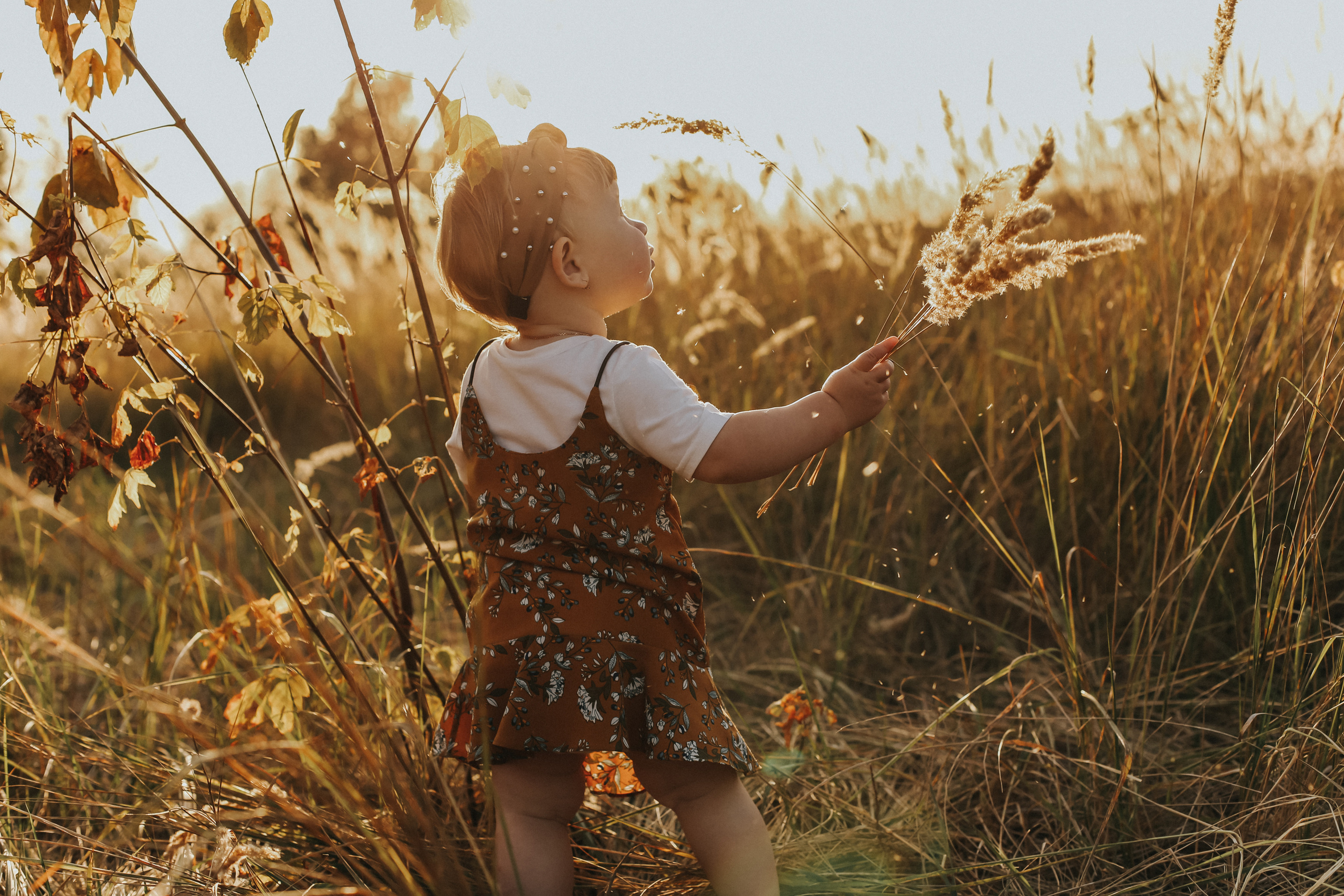 Осеннее волшебство. Свадебный и семейный фотограф Захарова Юлия