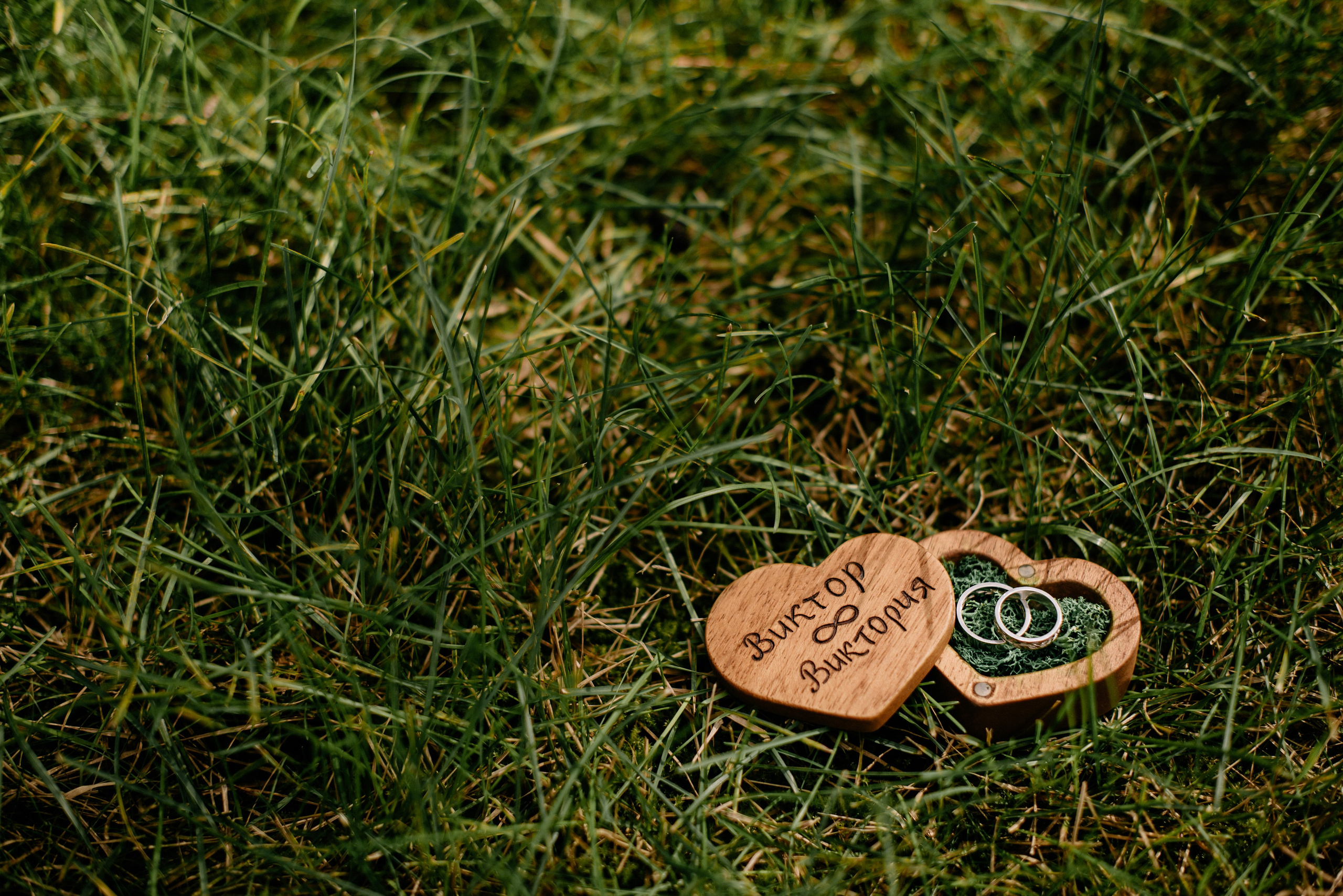 Виктория и Виктор. Свадебный фотограф, фотограф беременности Дарья Доценко