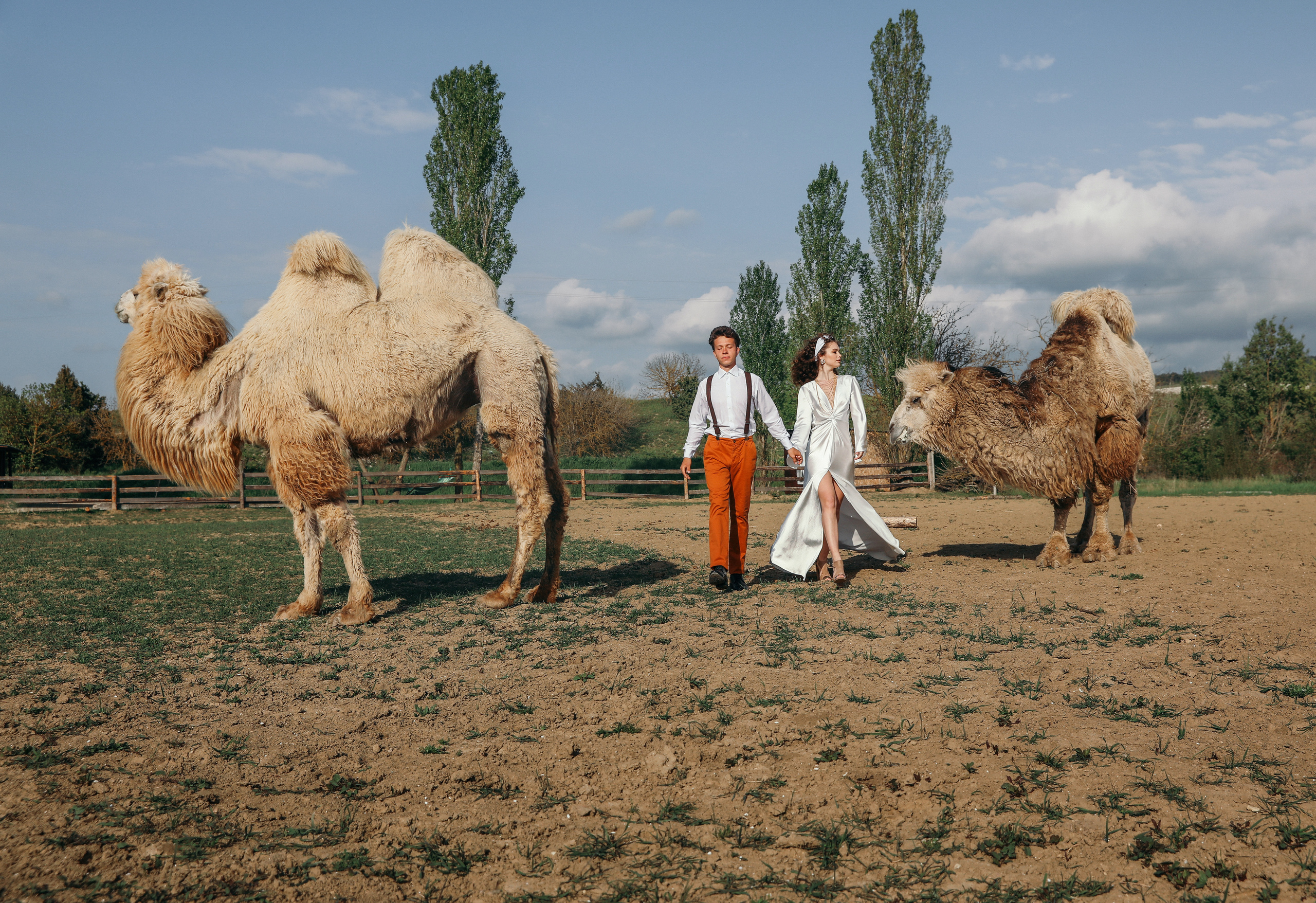 Алина и Максим. Свадебный и семейный фотограф в Севастополе и Крыму Анастасия Сураева