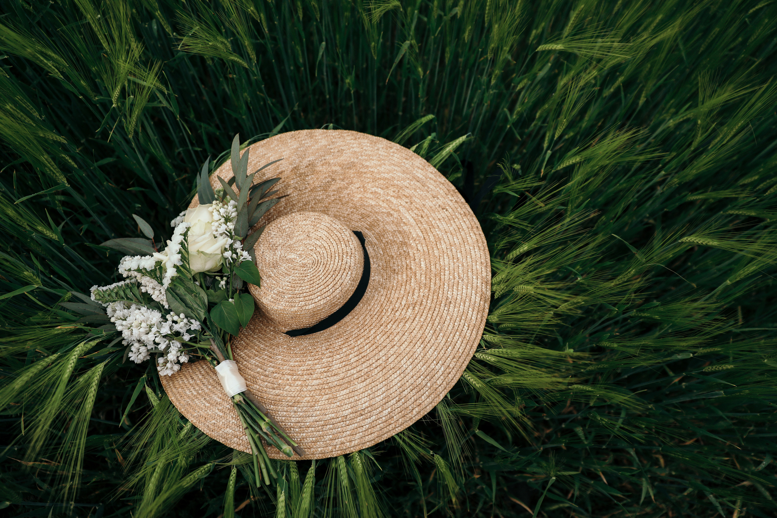 Мелисса и Игорь. Свадебный и семейный фотограф в Севастополе и Крыму Анастасия Сураева
