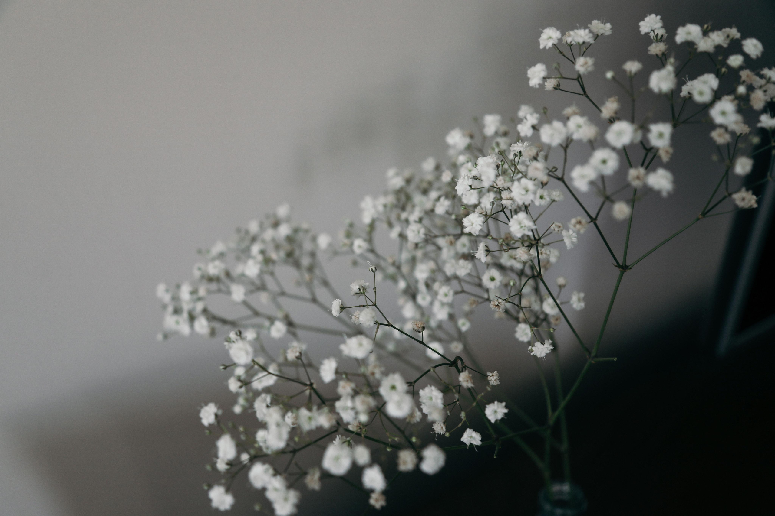Давид и Диана. Свадебный и семейный фотограф в Севастополе и Крыму Анастасия Сураева