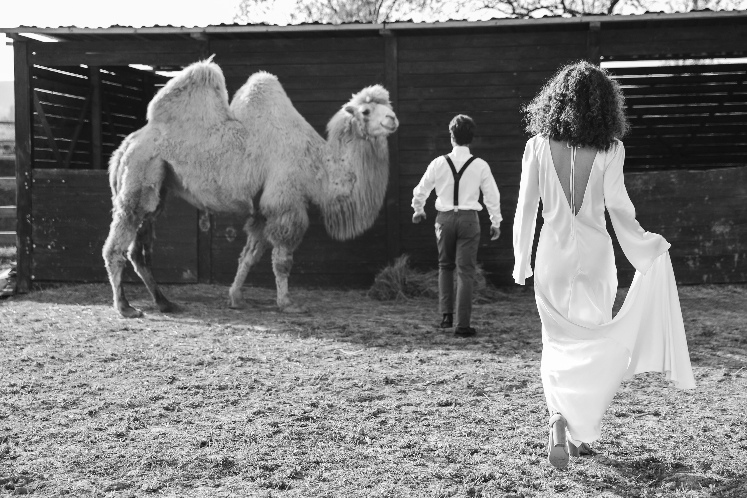 Алина и Максим. Свадебный и семейный фотограф в Севастополе и Крыму Анастасия Сураева
