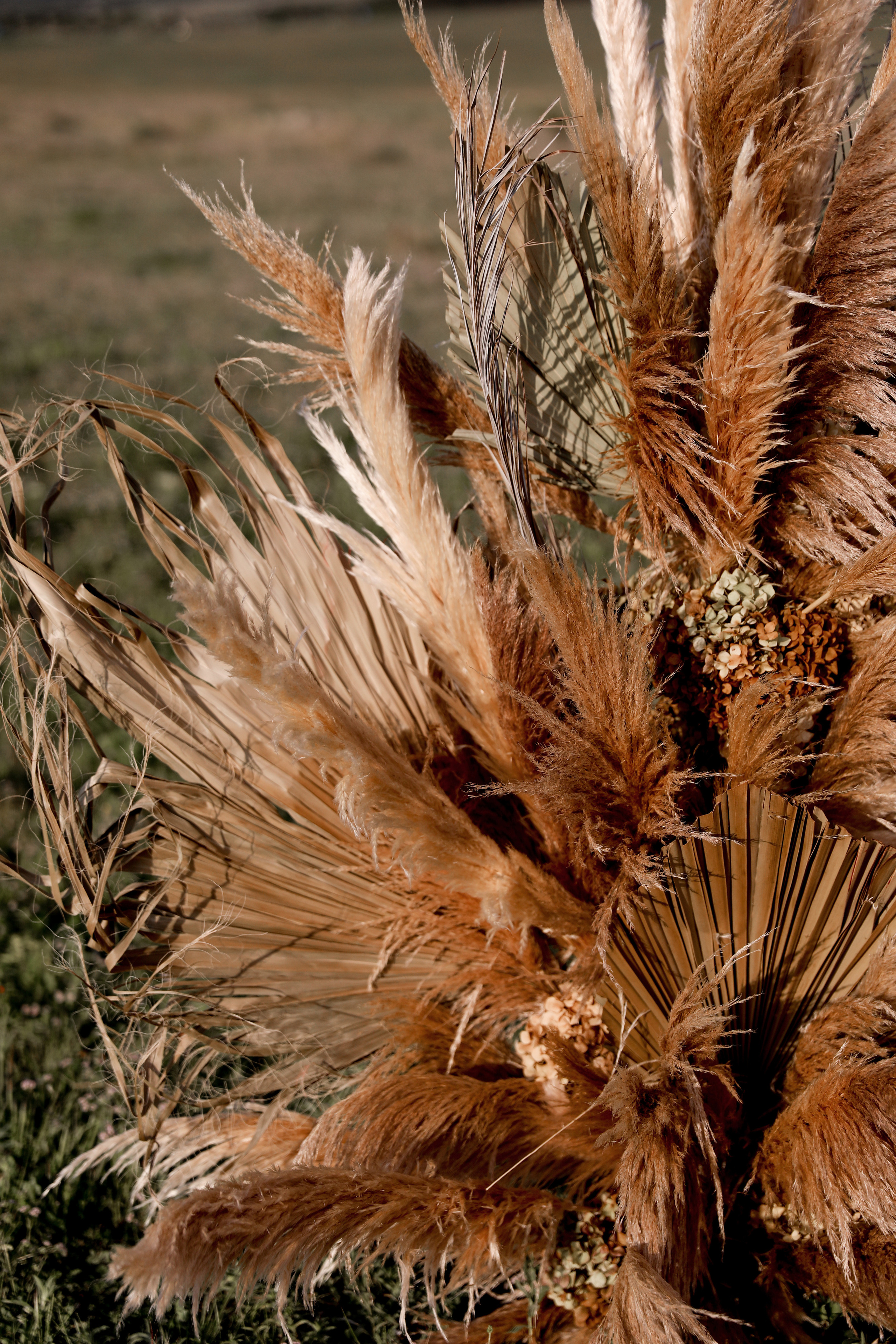 Алина и Максим. Свадебный и семейный фотограф в Севастополе и Крыму Анастасия Сураева