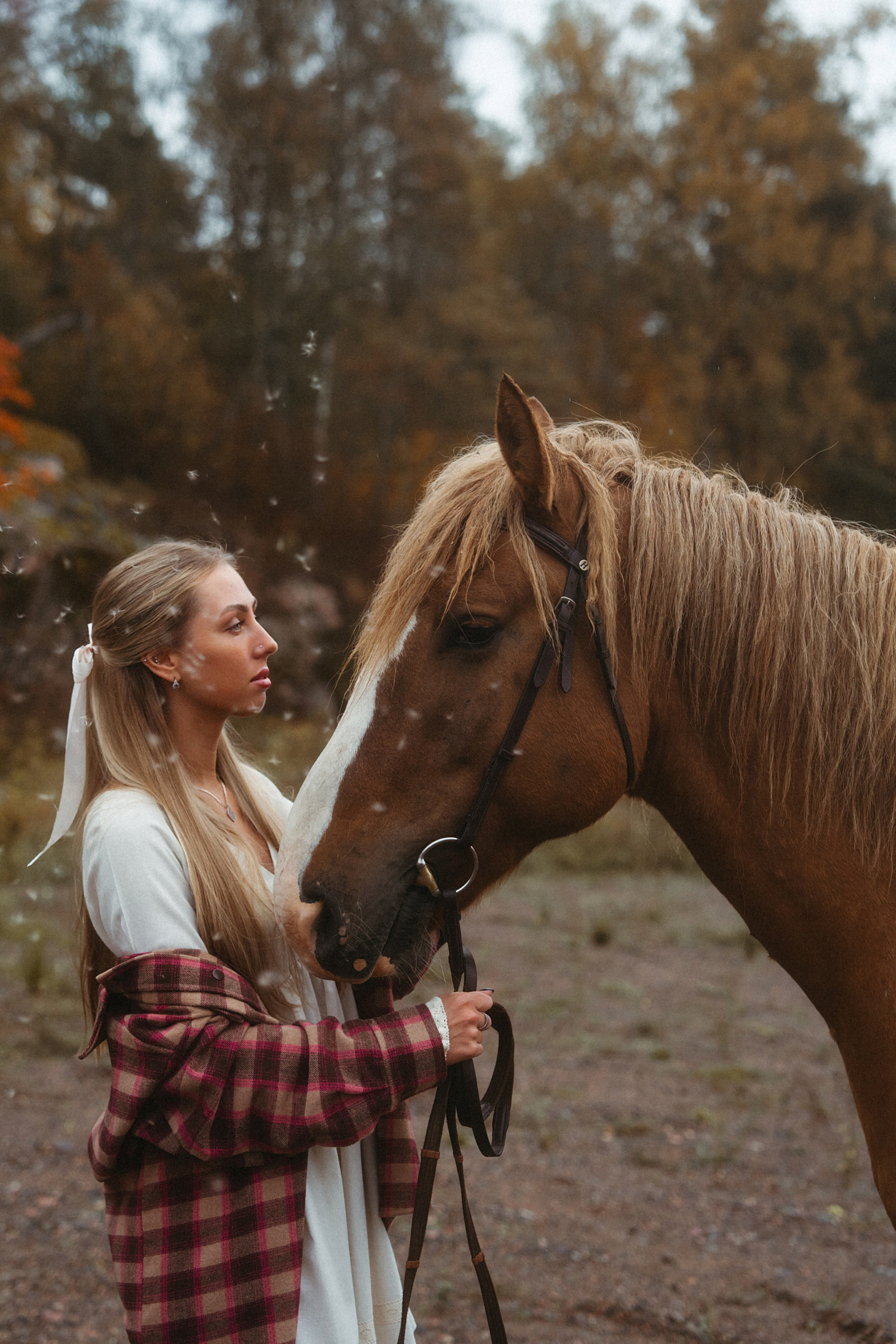 Конные. Главная