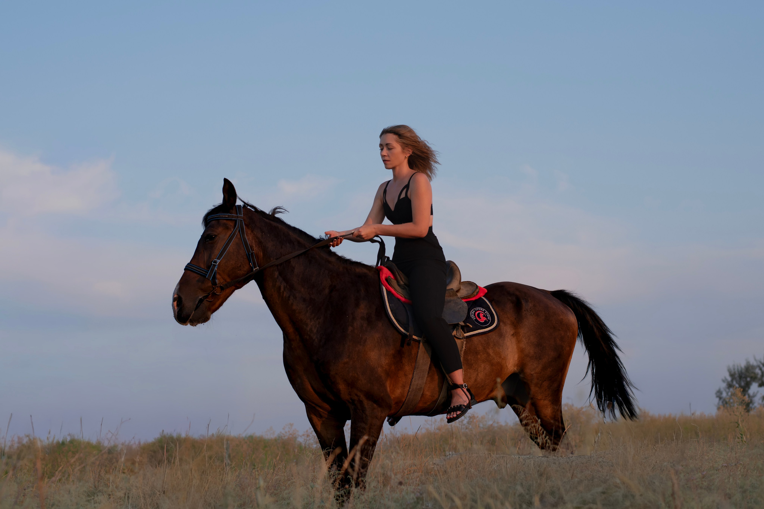 Леди и лошадь. Главная