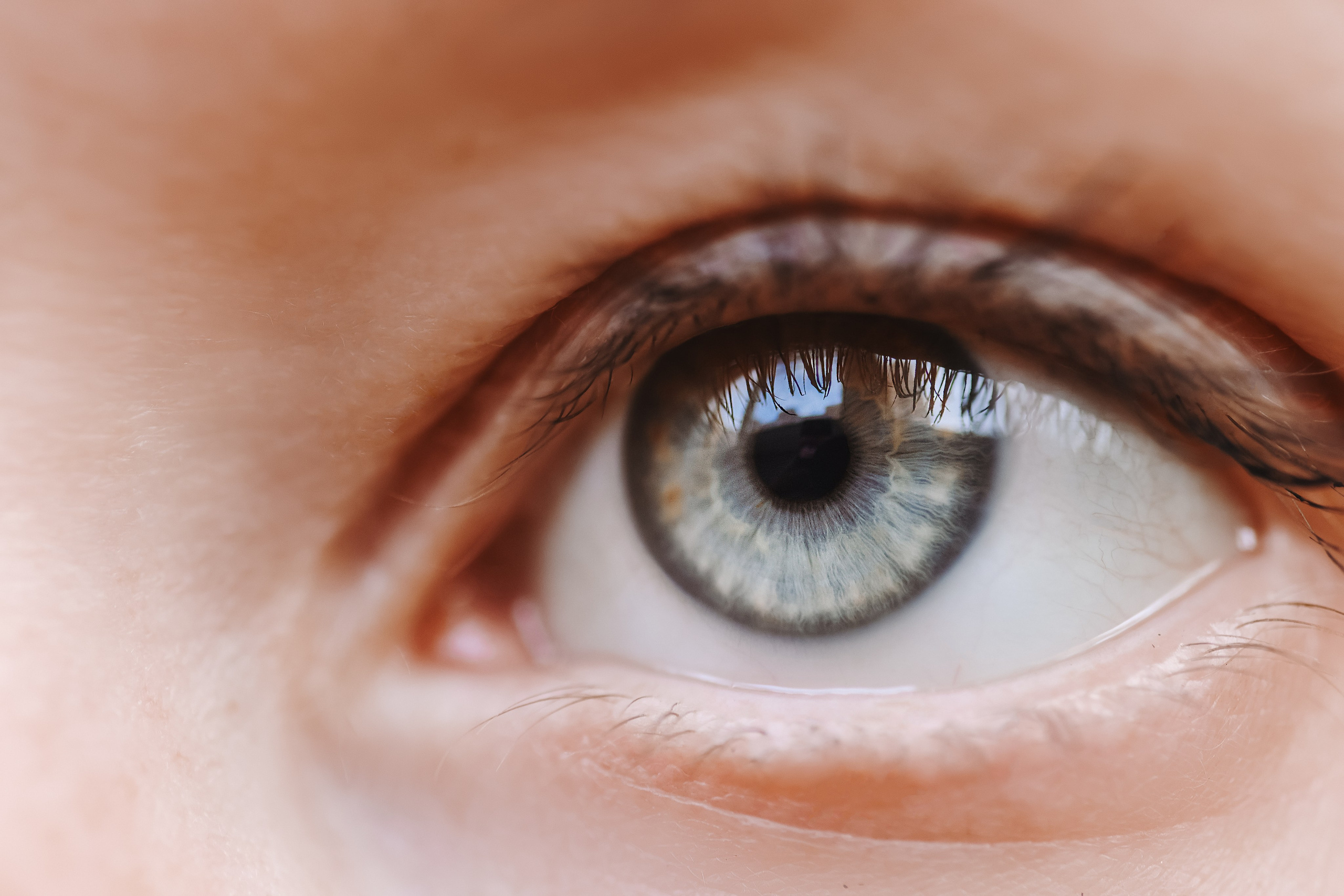 Eyes. Фотограф на Юге России