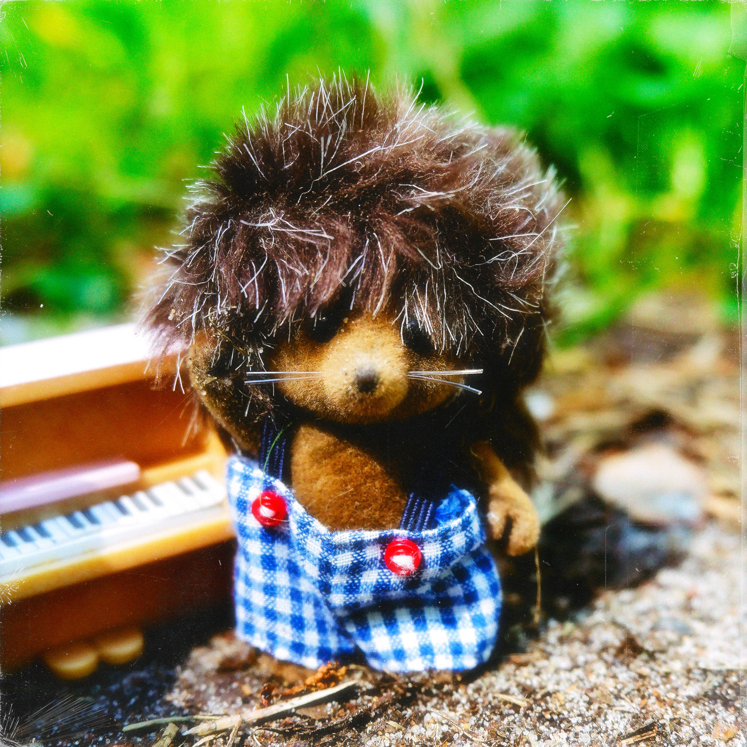 TOYS. ANNA — PHOTOGRAPHER