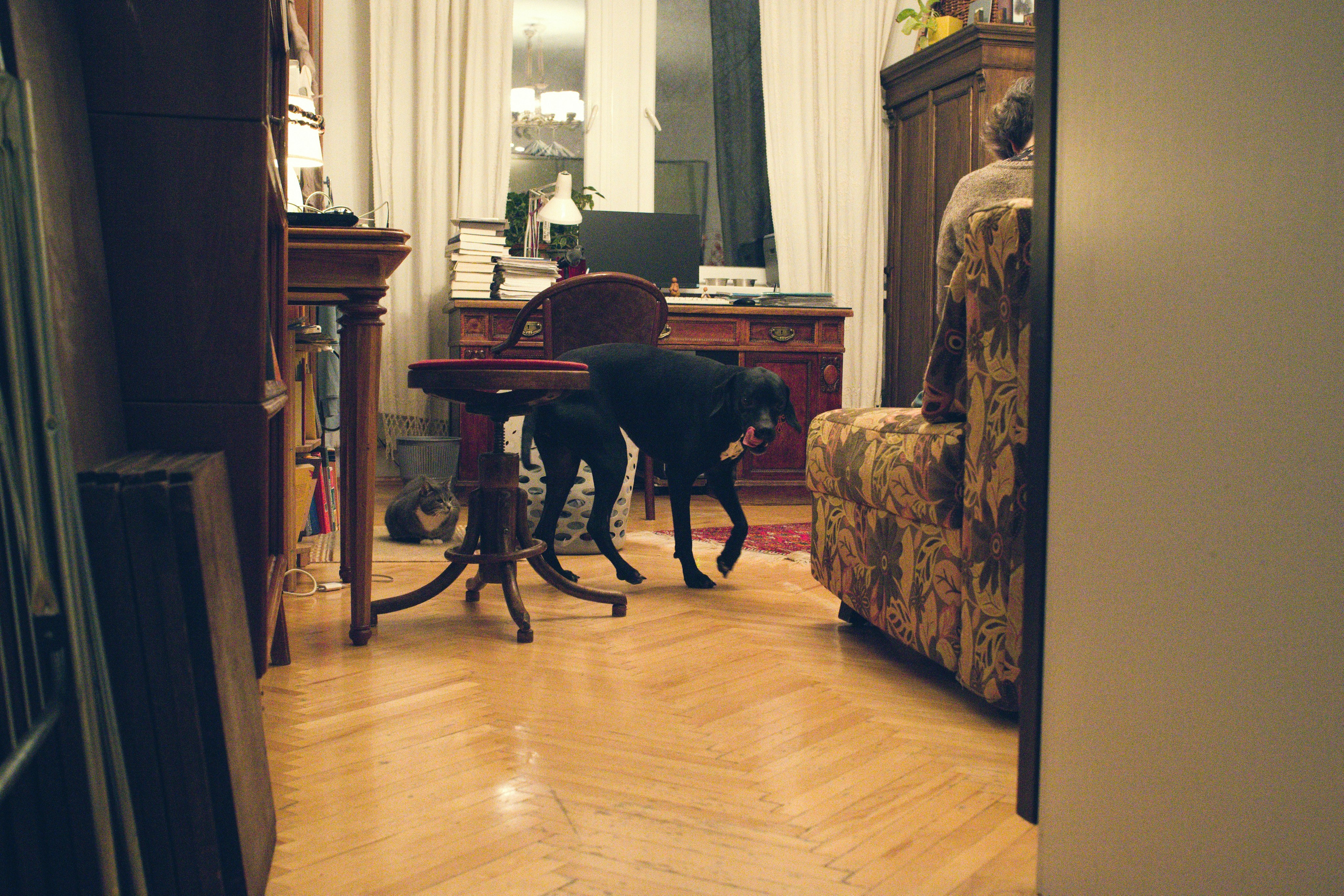 Чина и её люди. Дмитрий Бречалов