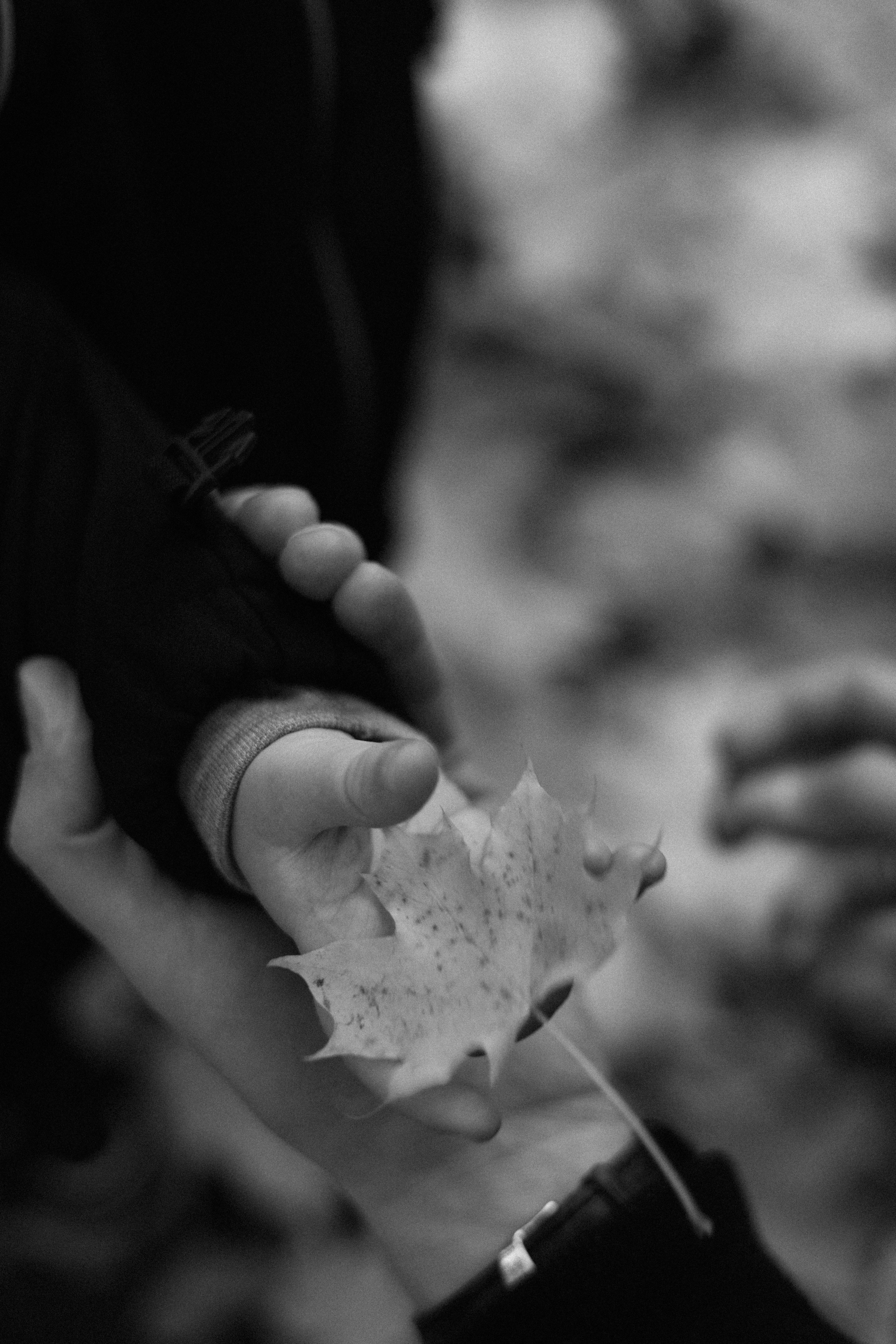 Уличные семейные. Фотограф в Москве Таша Логинова