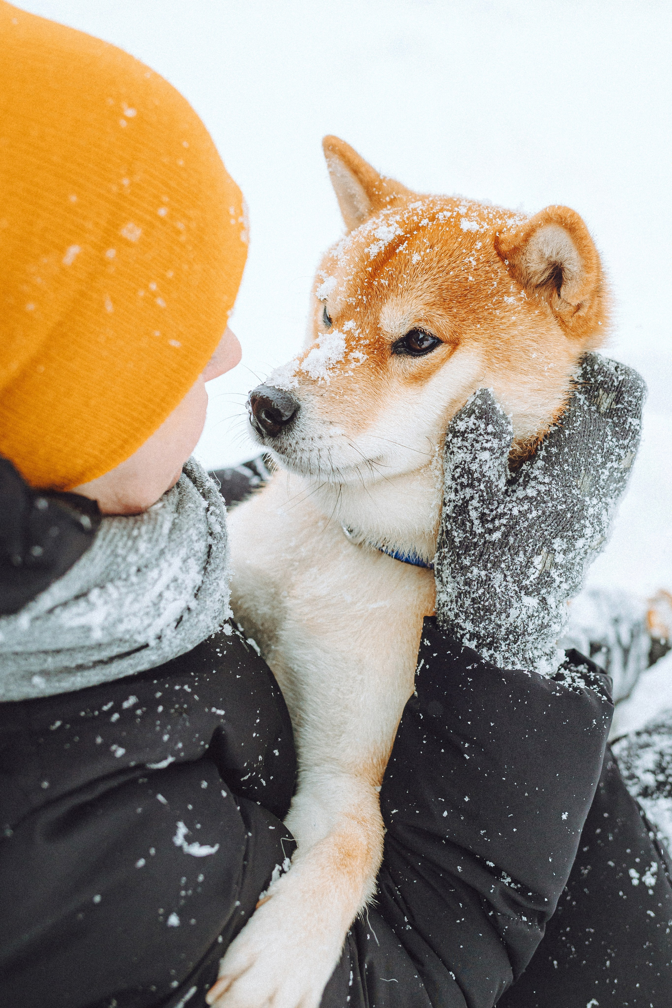 Настя и Ронин