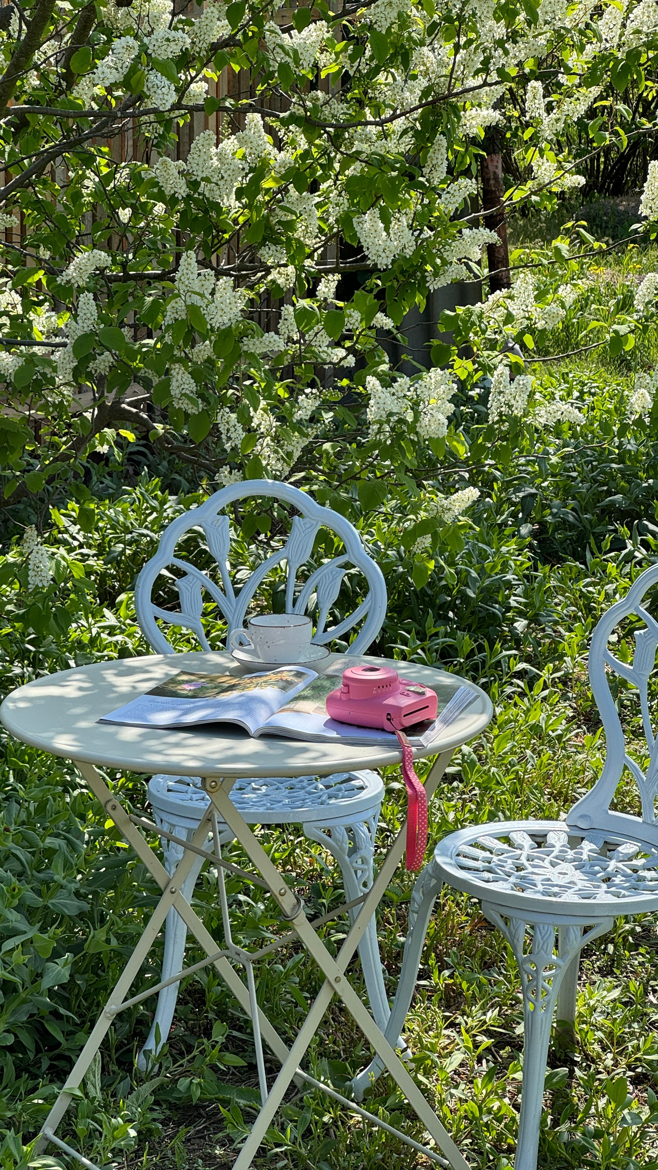 Цветение Весна. Фотостудия Натальи Забродской