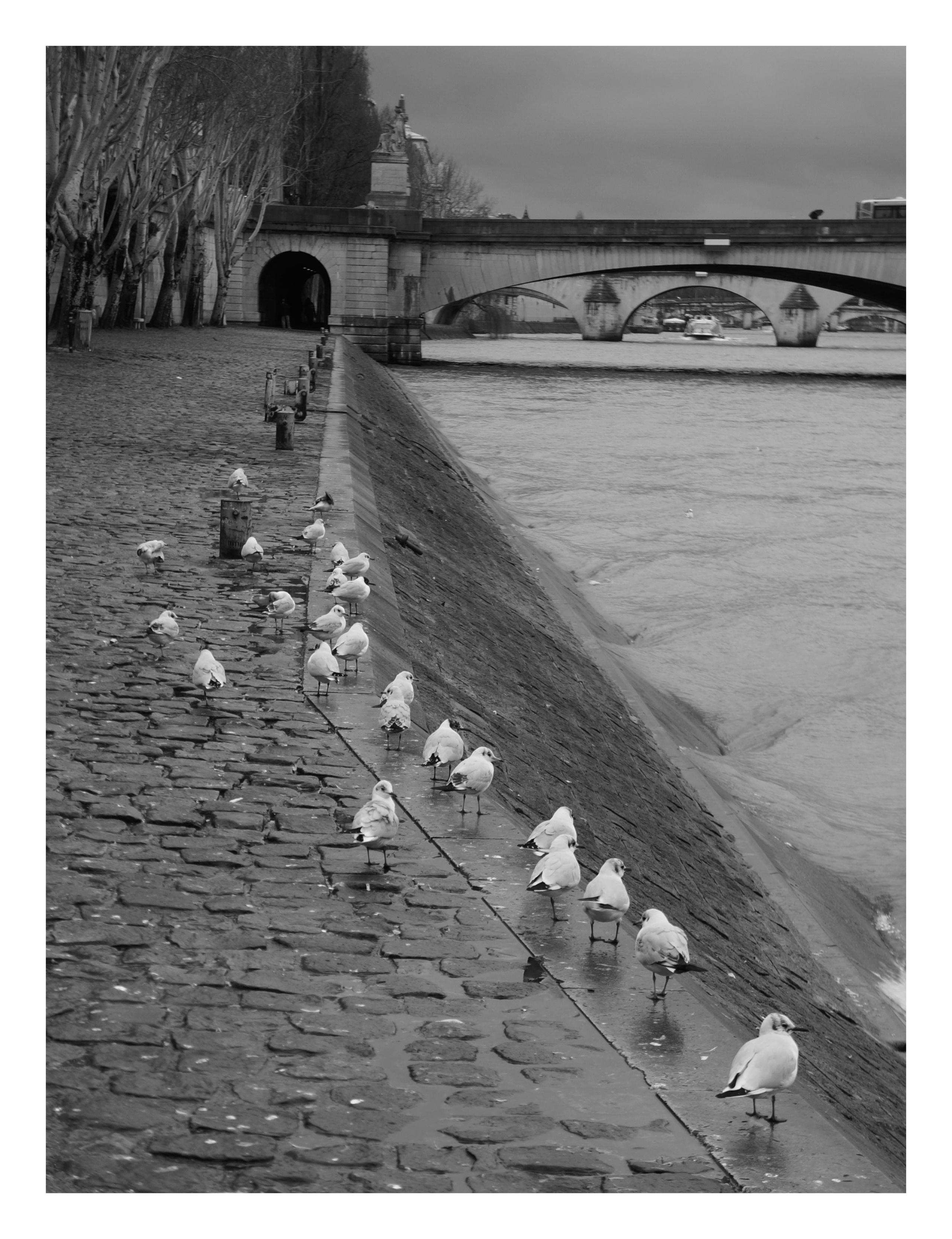 Вояж. Фотограф — Маслеников Константин