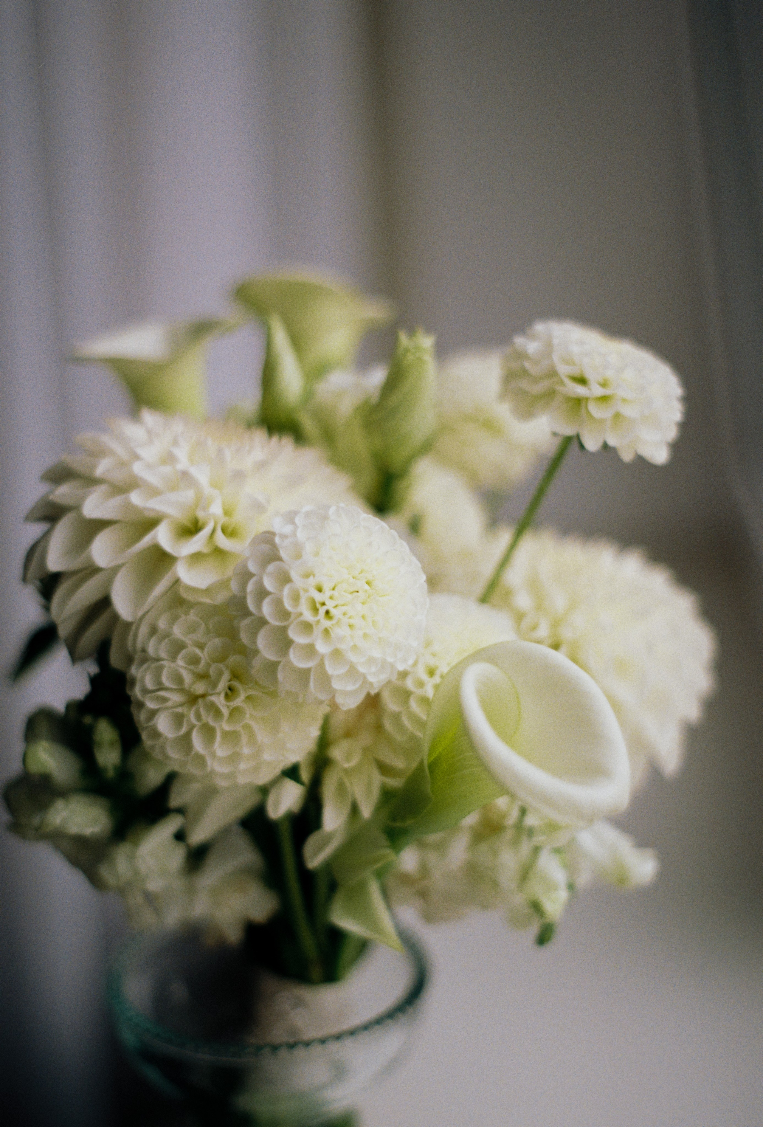 Плёночная фотография. Видеограф Сергей Болотов