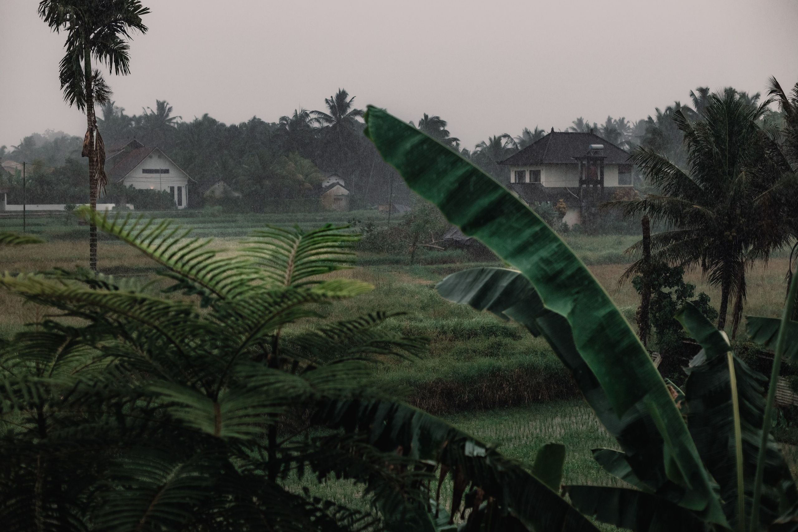 Little Ella. Mariam Bagdasaryan