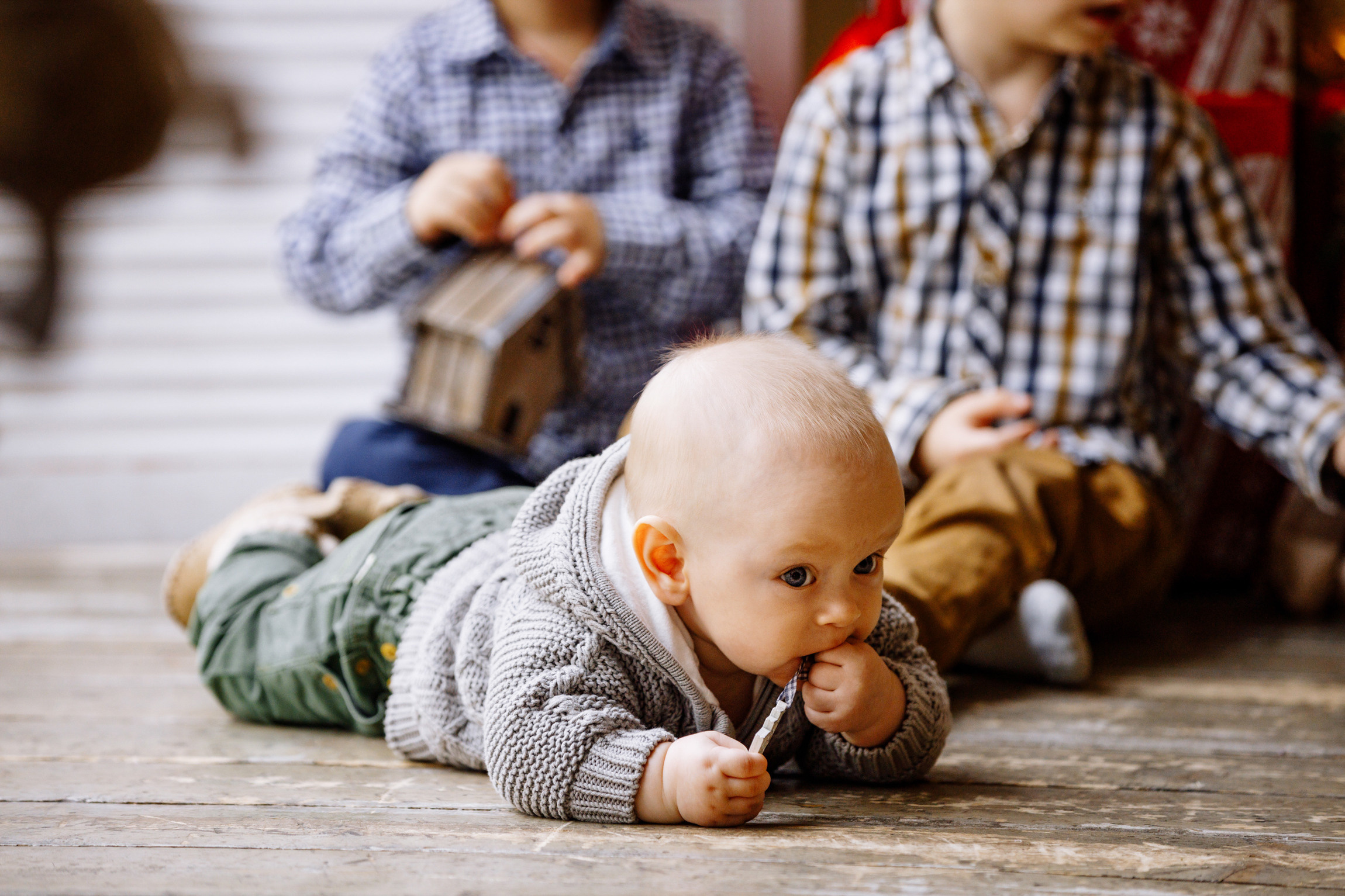 Новогодняя семейная съемка. Вася, Оля. Яро-Мир и Лёня