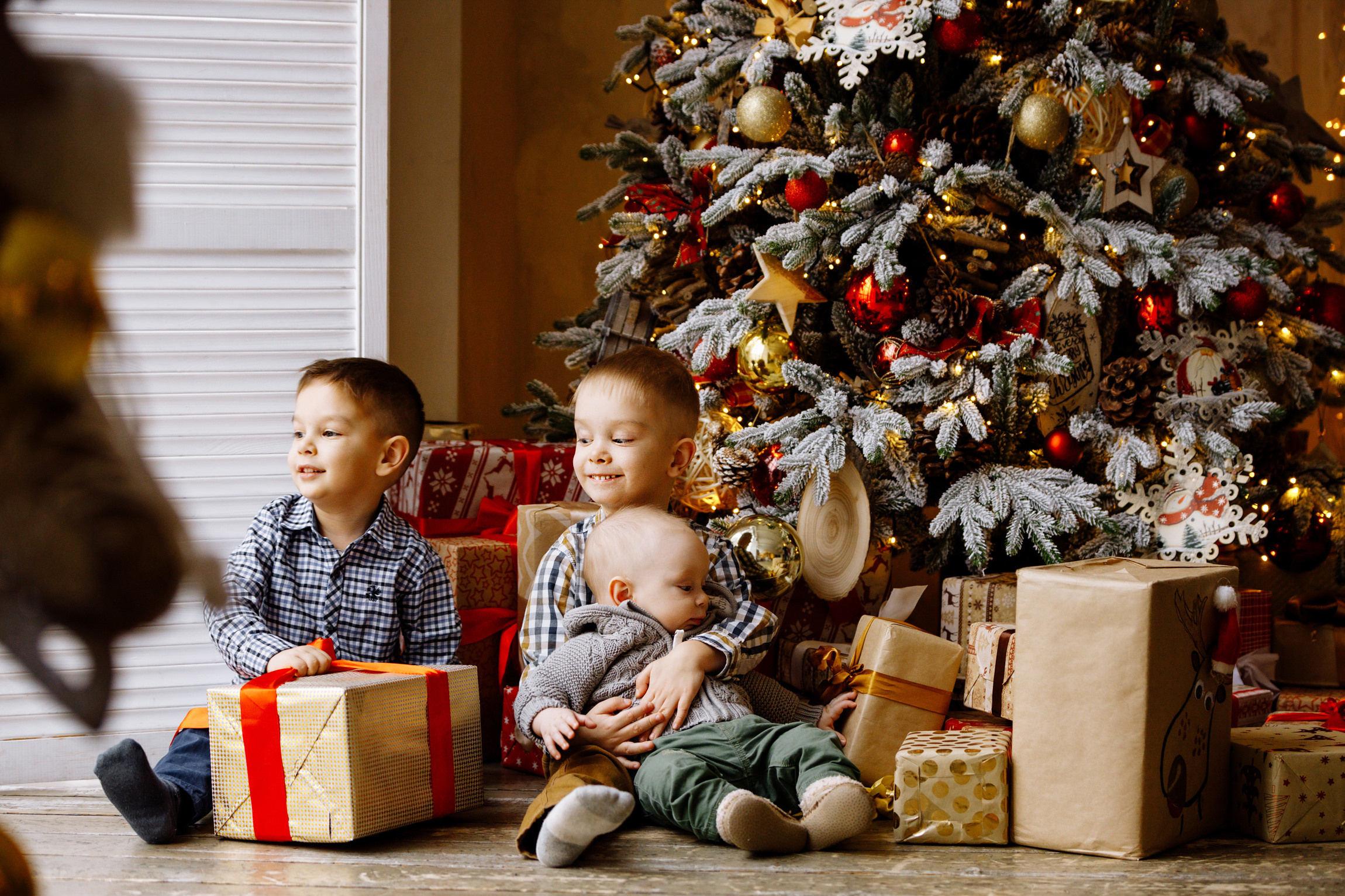 Новогодняя семейная съемка. Вася, Оля. Яро-Мир и Лёня