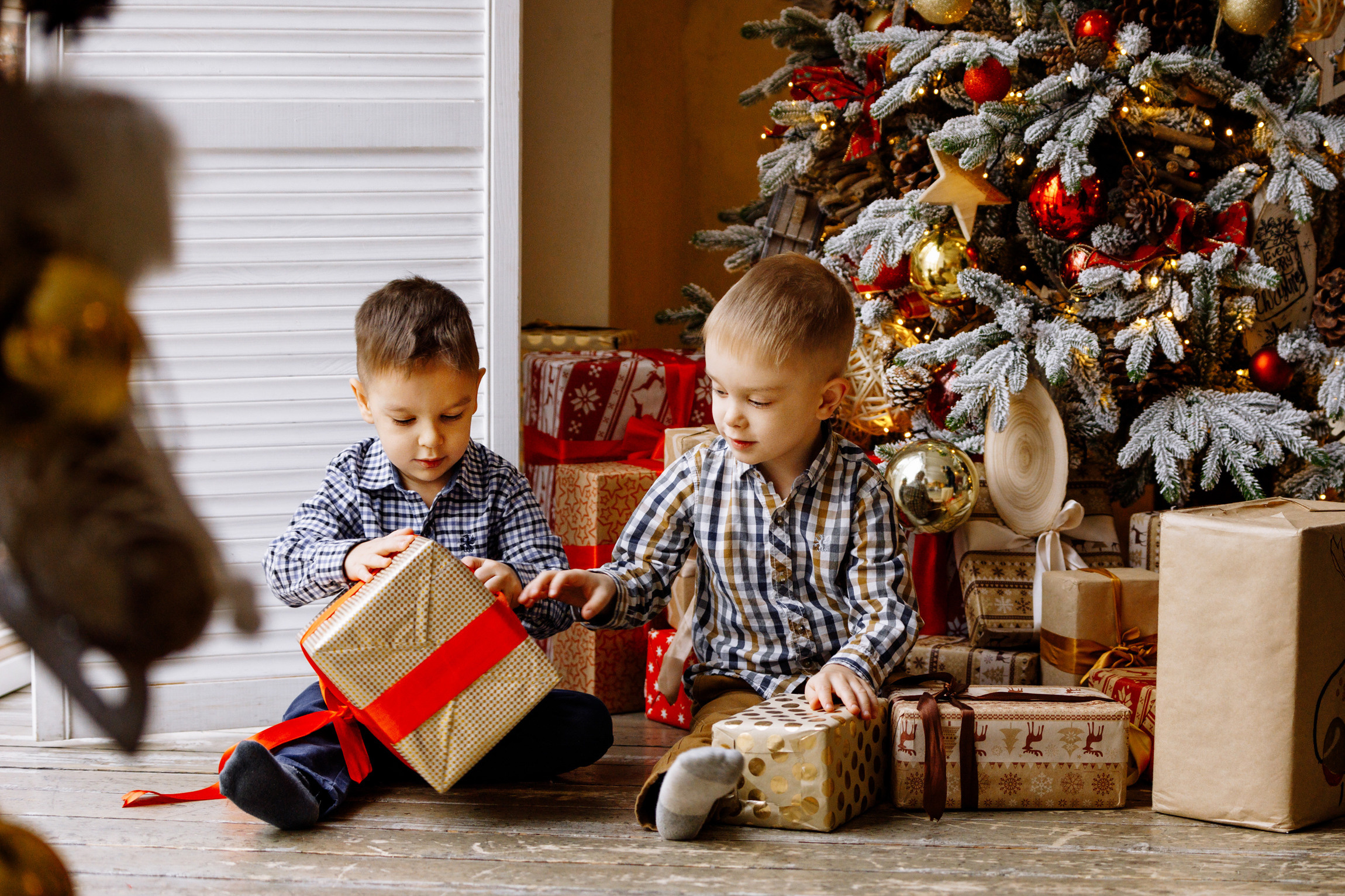 Новогодняя семейная съемка. Вася, Оля. Яро-Мир и Лёня