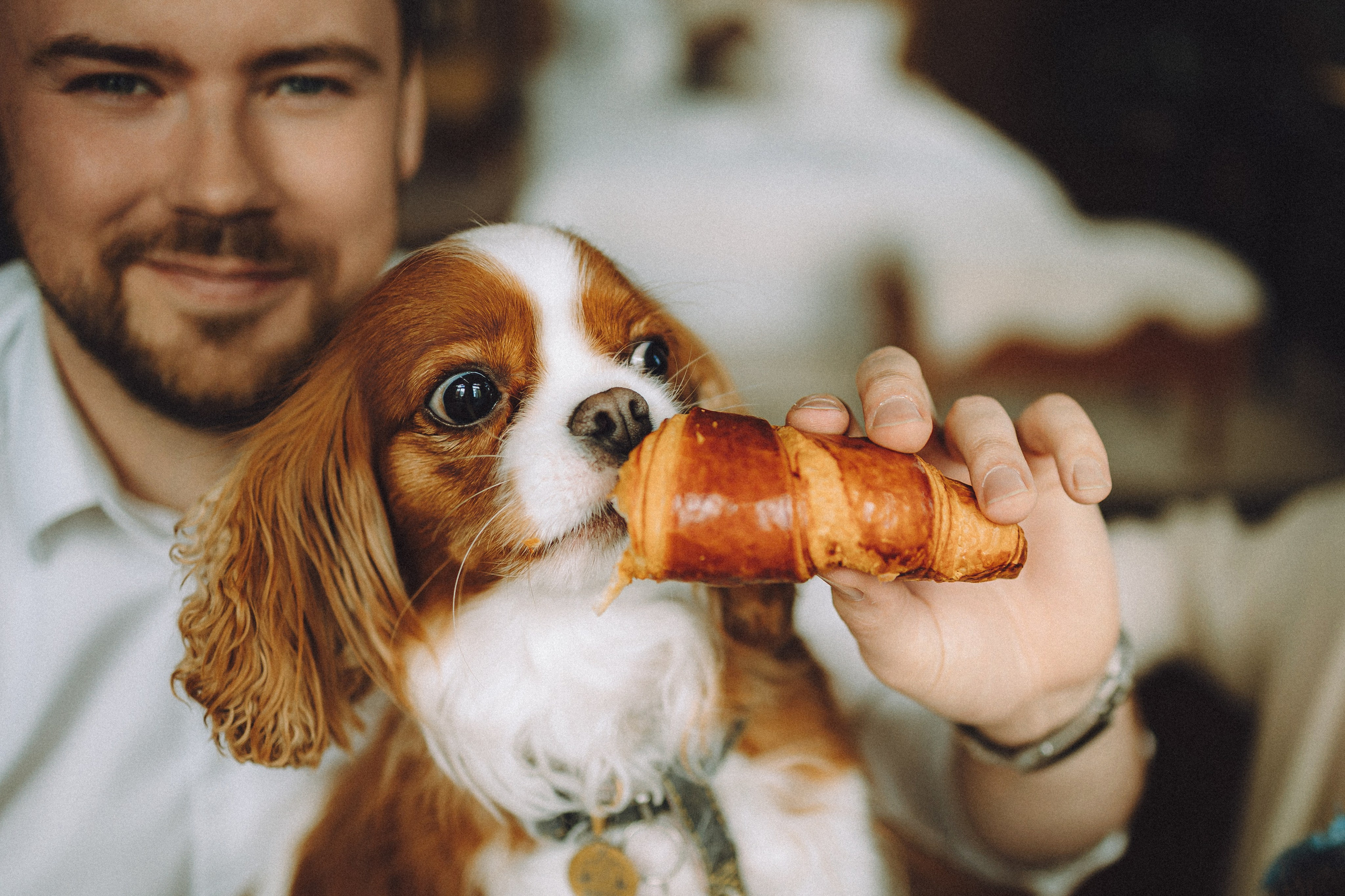 Валя, Вася, Аня и Ириска