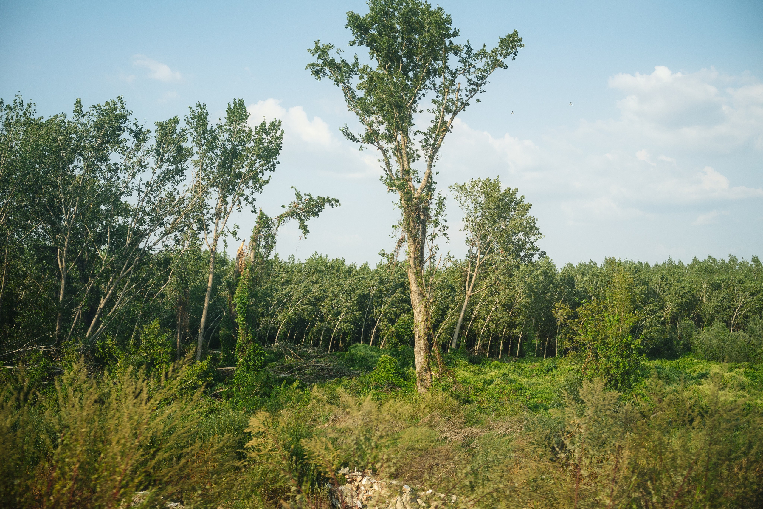 Landscapes. Oleg Kozachok — Photographer with Protanopia | Portraits, Texture & Light