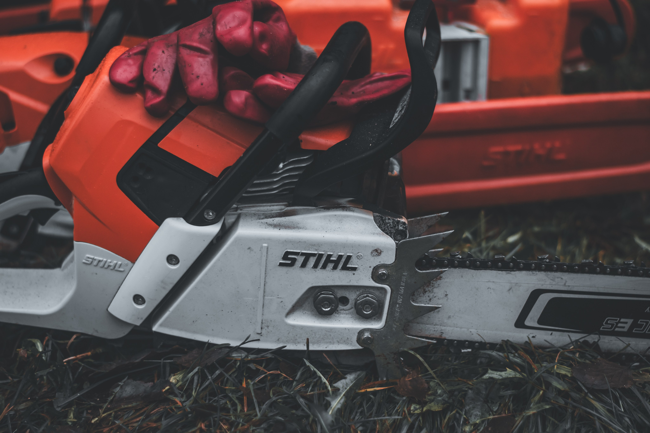 Спил деревьев. Аrbori Culturist