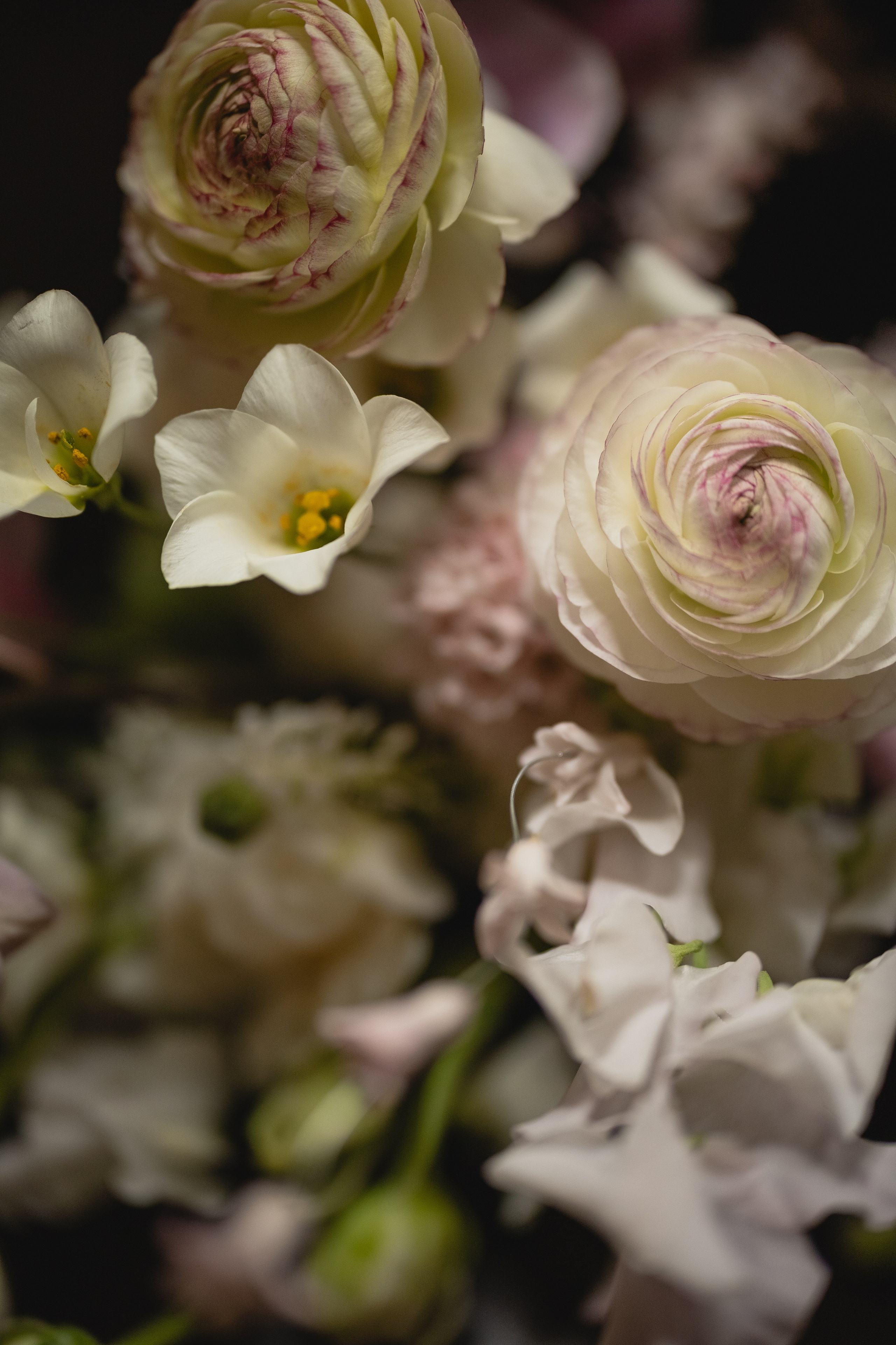 Весна в Москве (серия собирается). Свадебный и семейный фотограф и видеограф, Крым, Москва, Санкт -Петербург