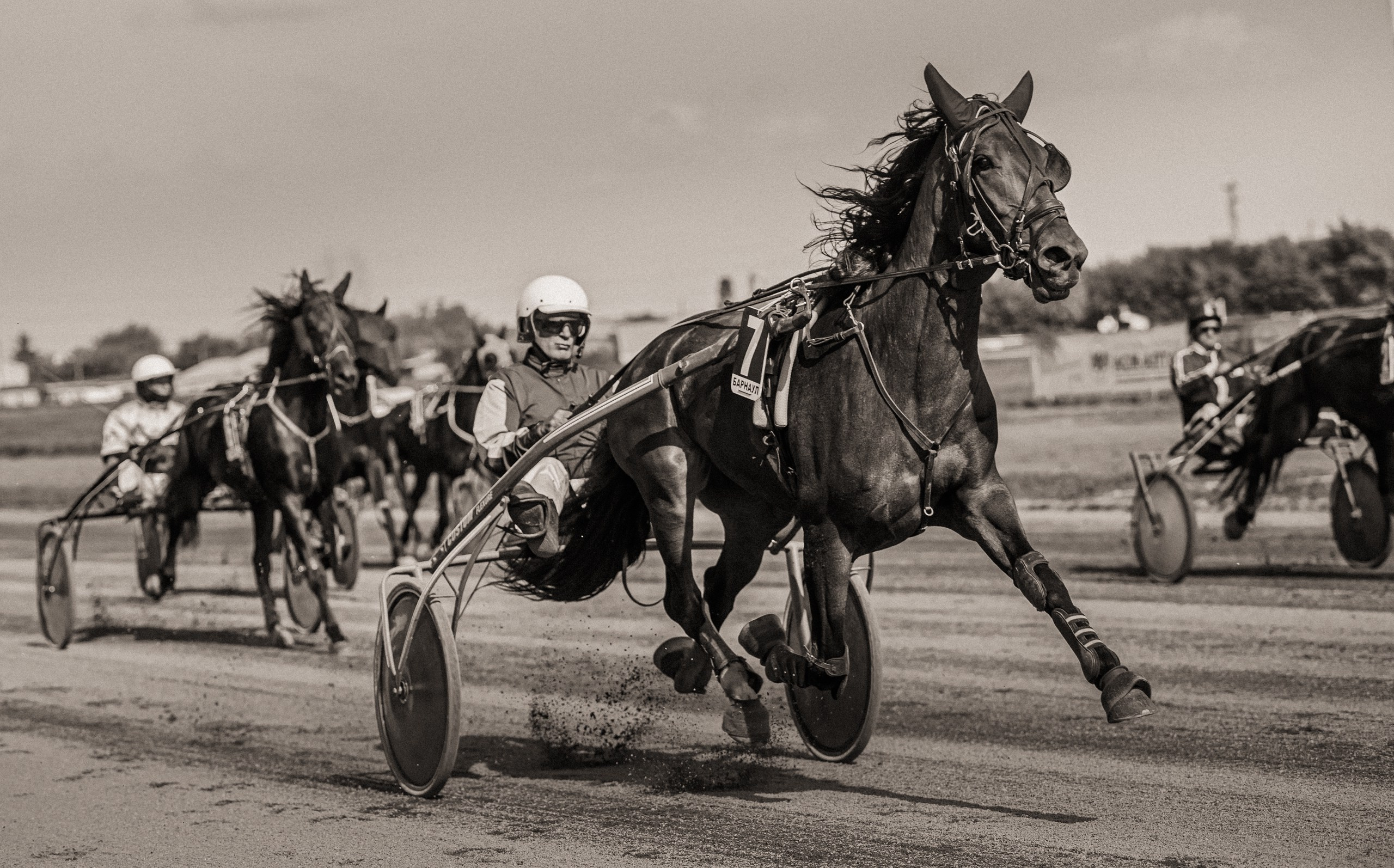 Рысистые бега. Главная