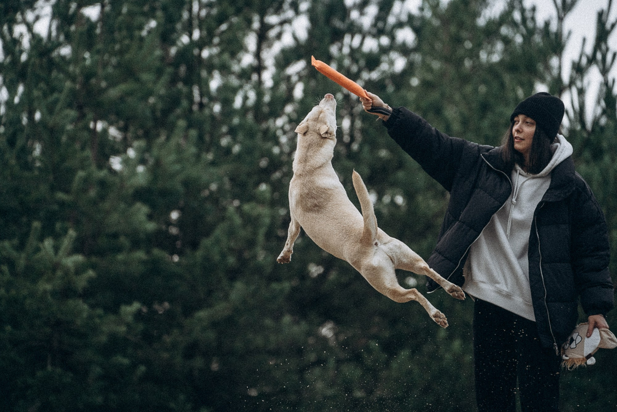 Туся. Фотограф анималист в Москве и Санкт-Петербурге Свиридова Анна
