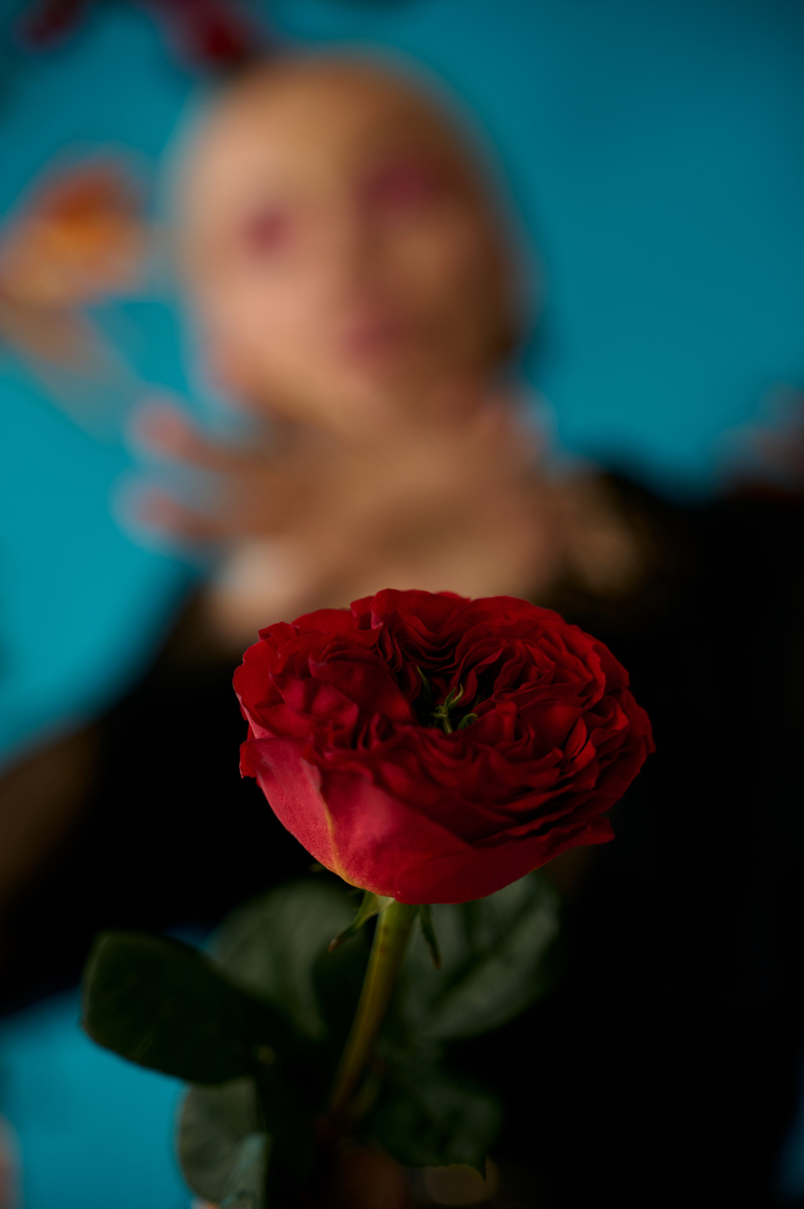 Проект Цветы Лидии. Фотограф Егорьевск Коломна Воскресенск