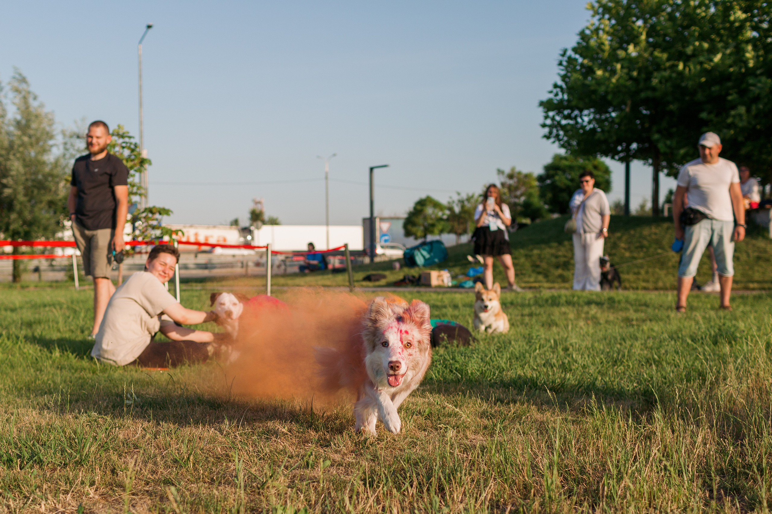 Dog Fest 2024. Главная