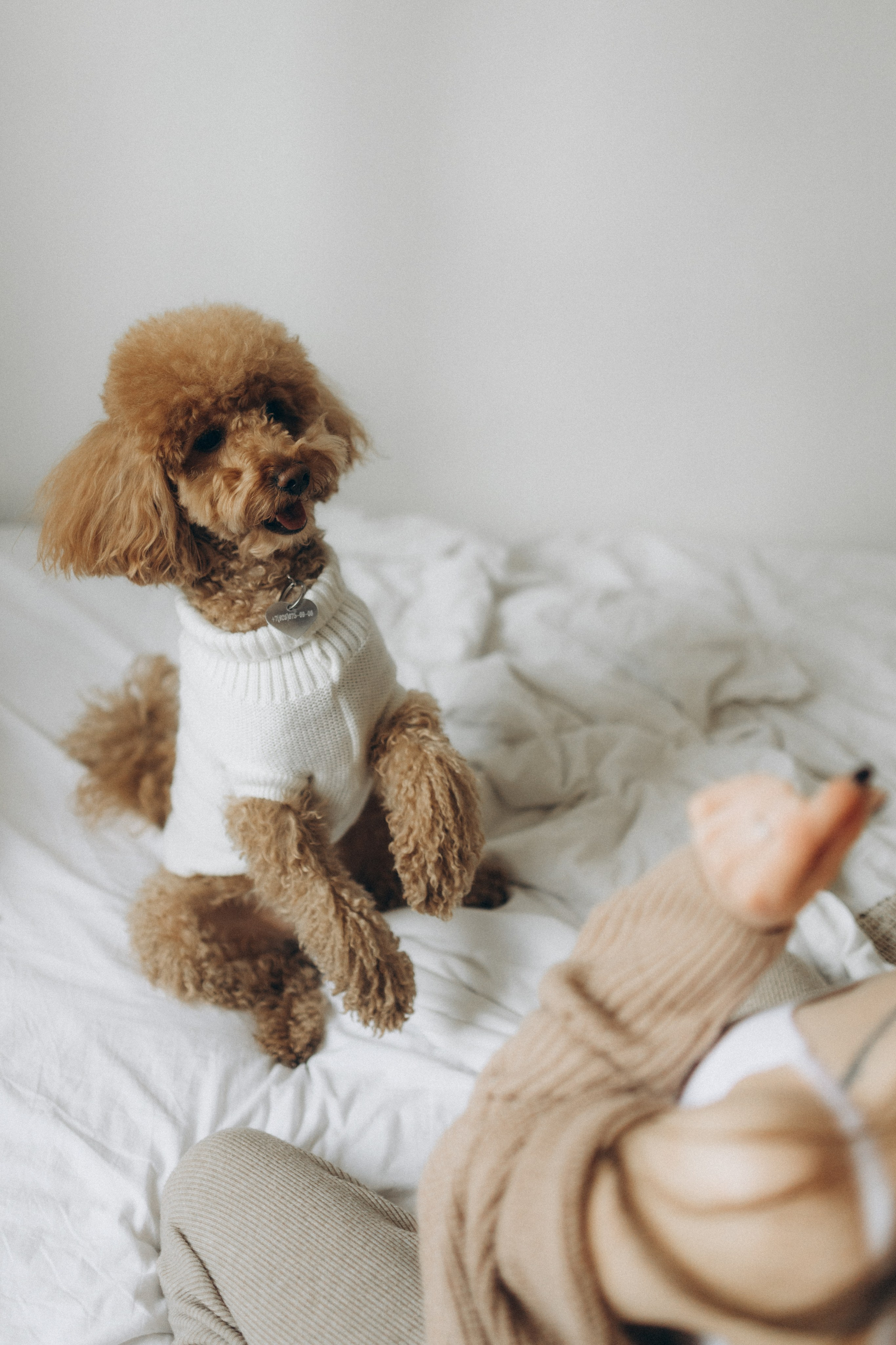 Маша, Ваня & Барни. Фотограф НОГИНСК, Москва, Анастасия Белая