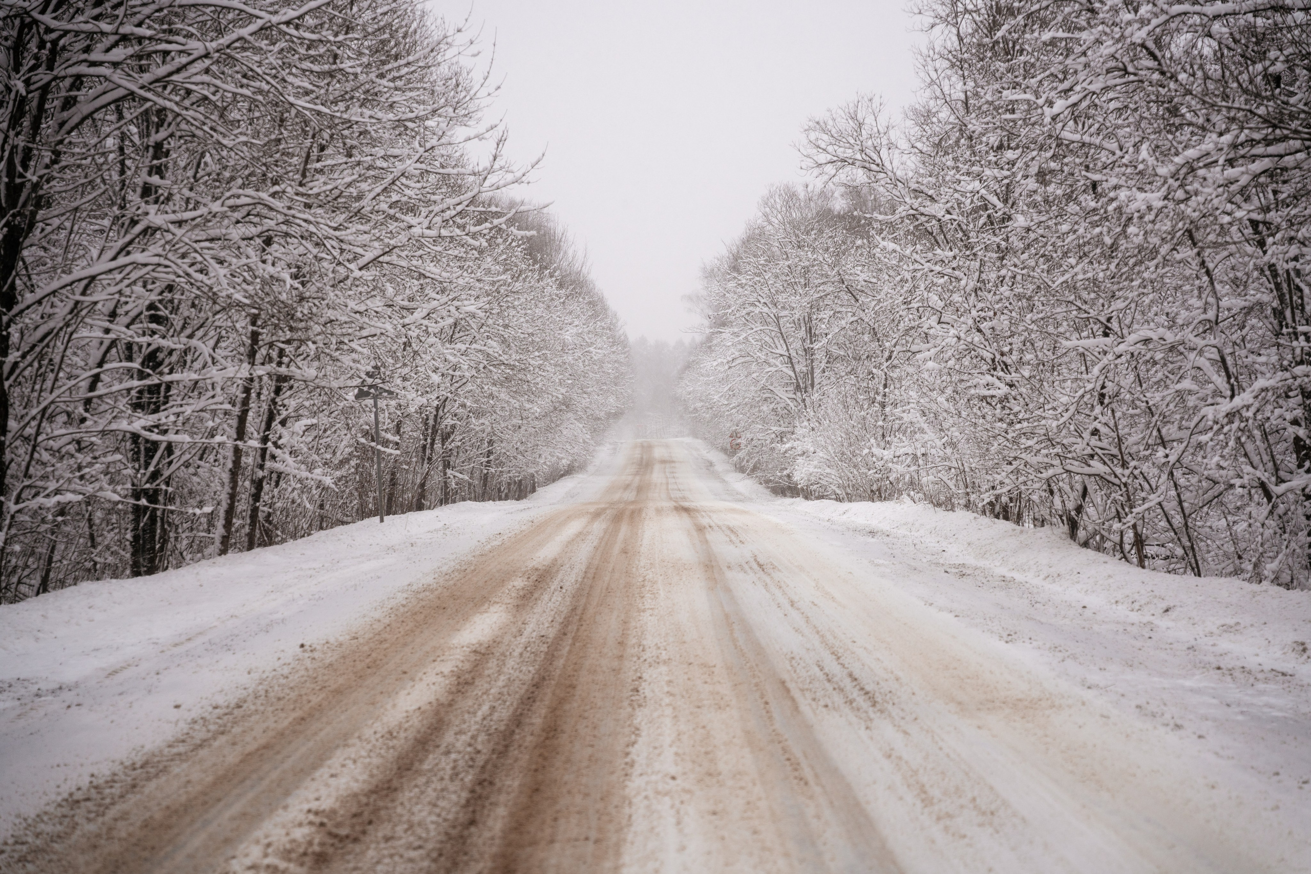 Поездка к р. Песочня и деревне Раевское. Vlad Trykov