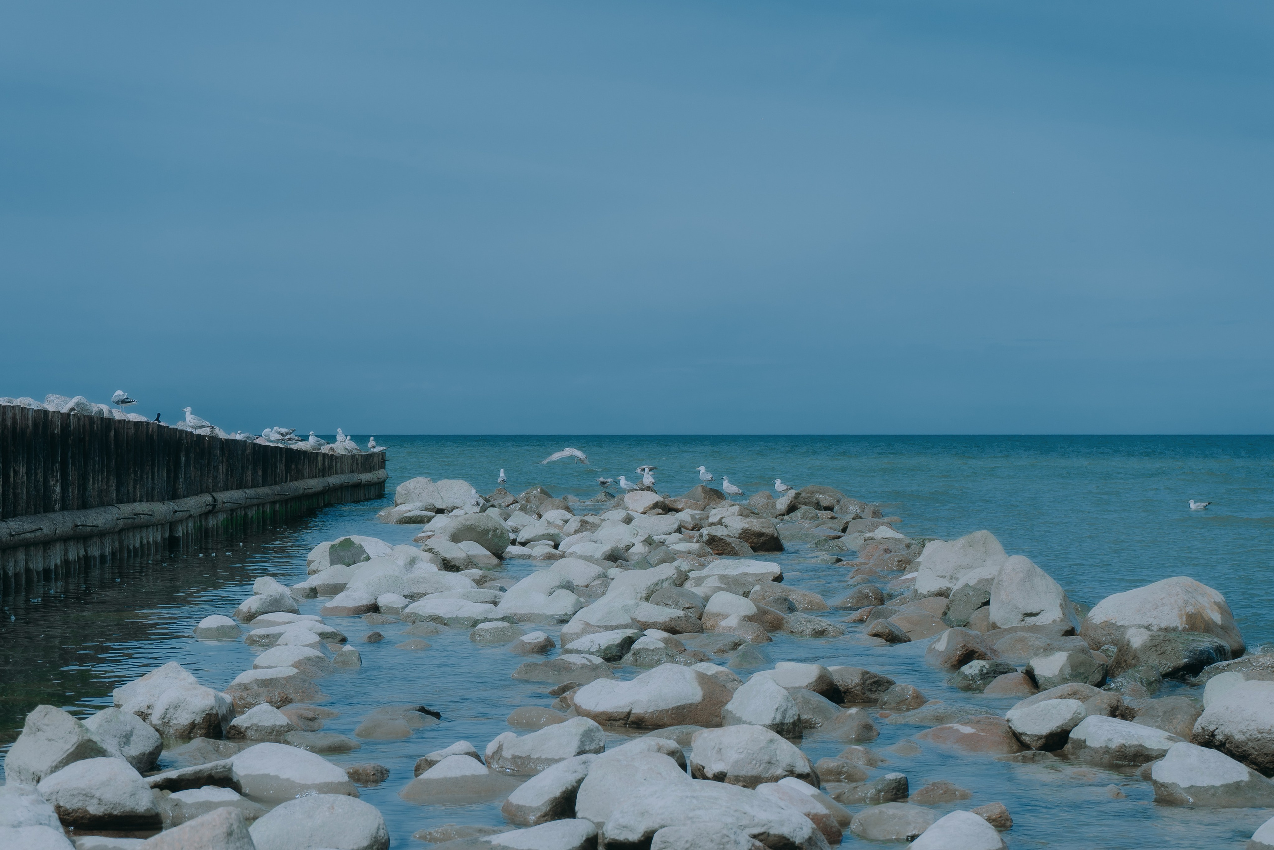 Балтика. Денис Марков — фотограф в Екатеринбурге