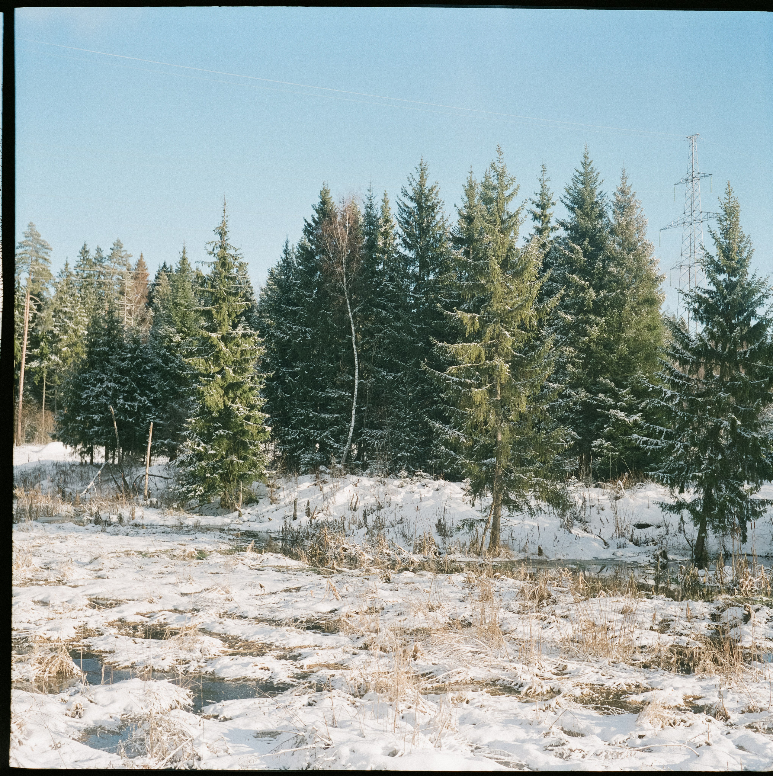 Fujicolor PRO 400H примеры фотографий