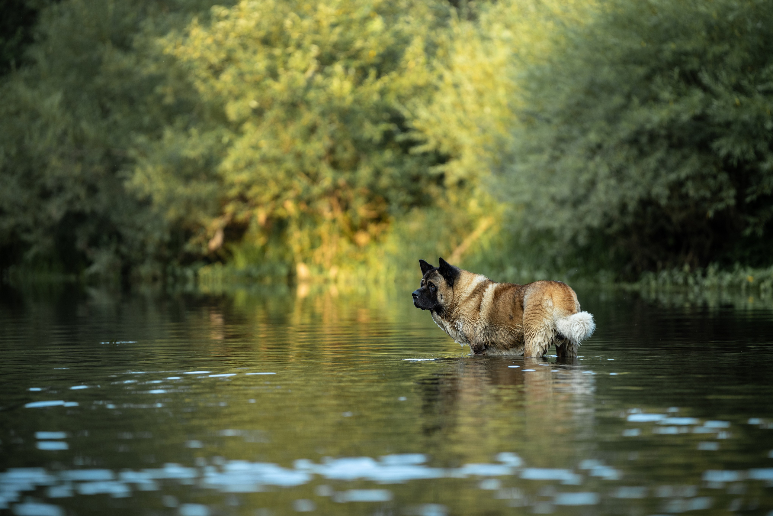 Природные пейзажи. Наталия Клевинскас портретный фотограф в Костроме