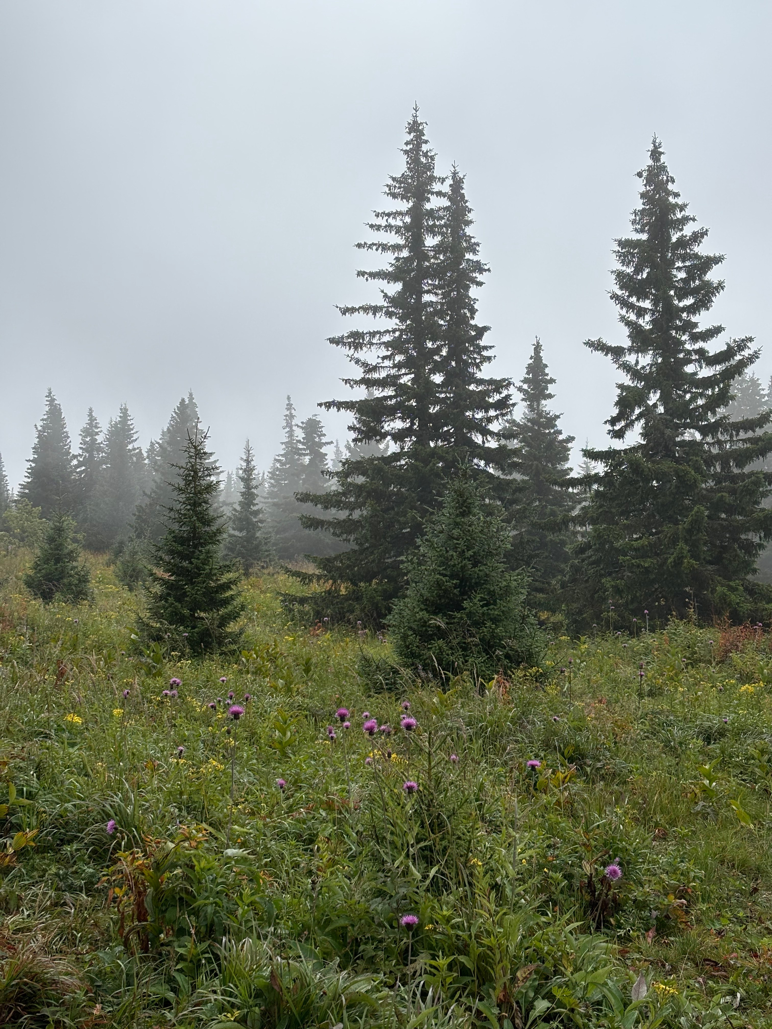 Фот с походов на Иремель — Время приключений