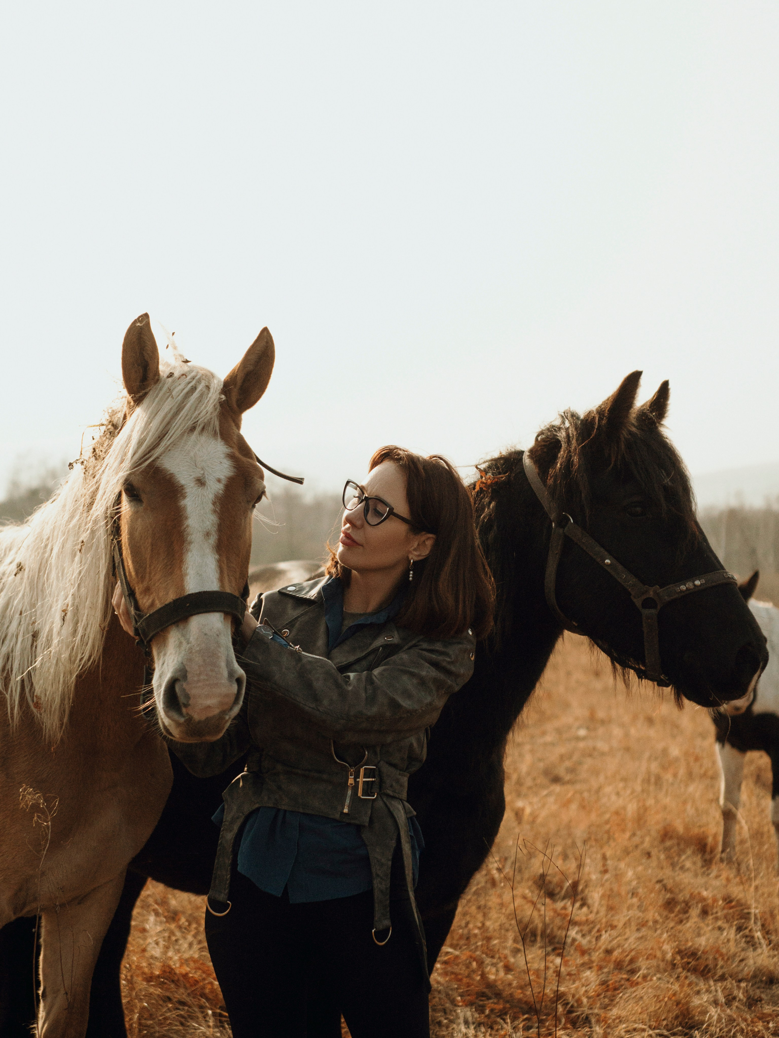 Галоп. Фотограф и видеограф в Благовещенске и Санкт-Петербурге Мурыгина Мария