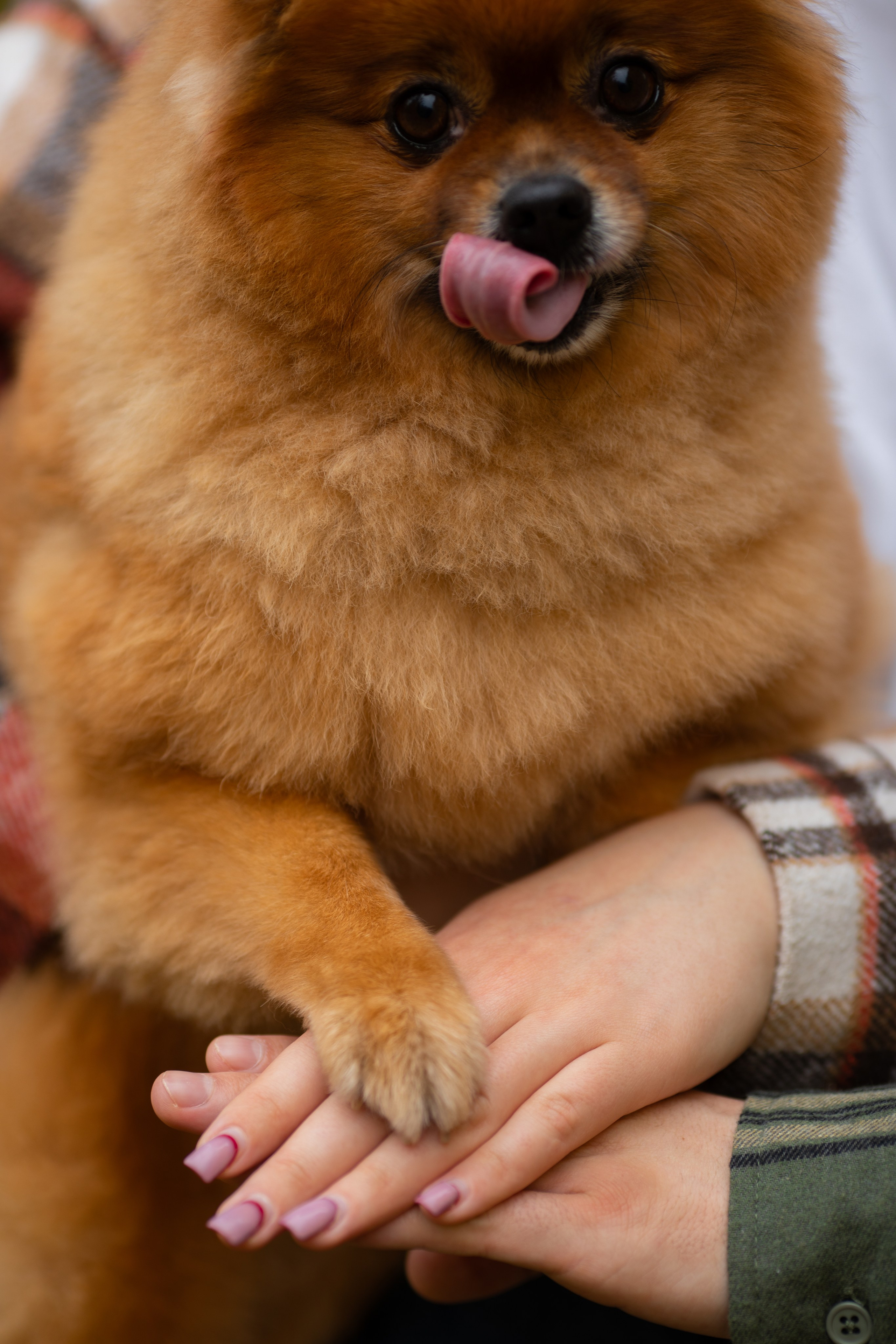 Love story. Фотограф в Омске