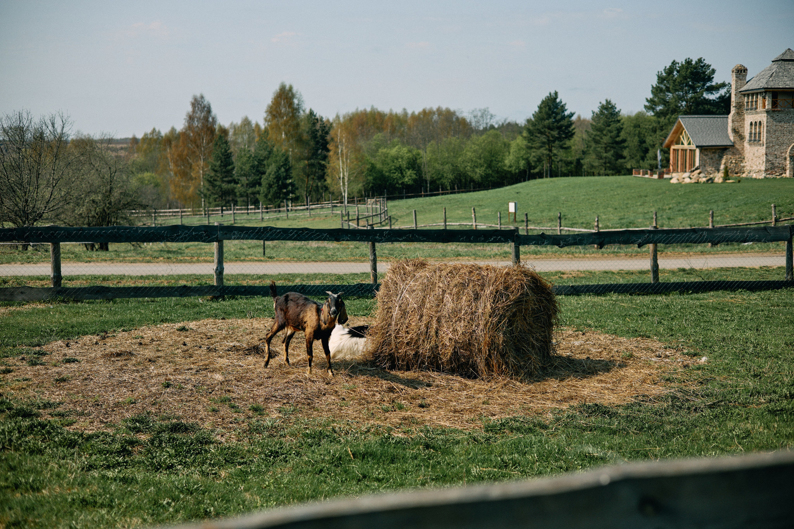 Бутик-отель Поле летом. Профессиональный Фотограф во Владимире, в Москве и в Суздале — Полина Романычева