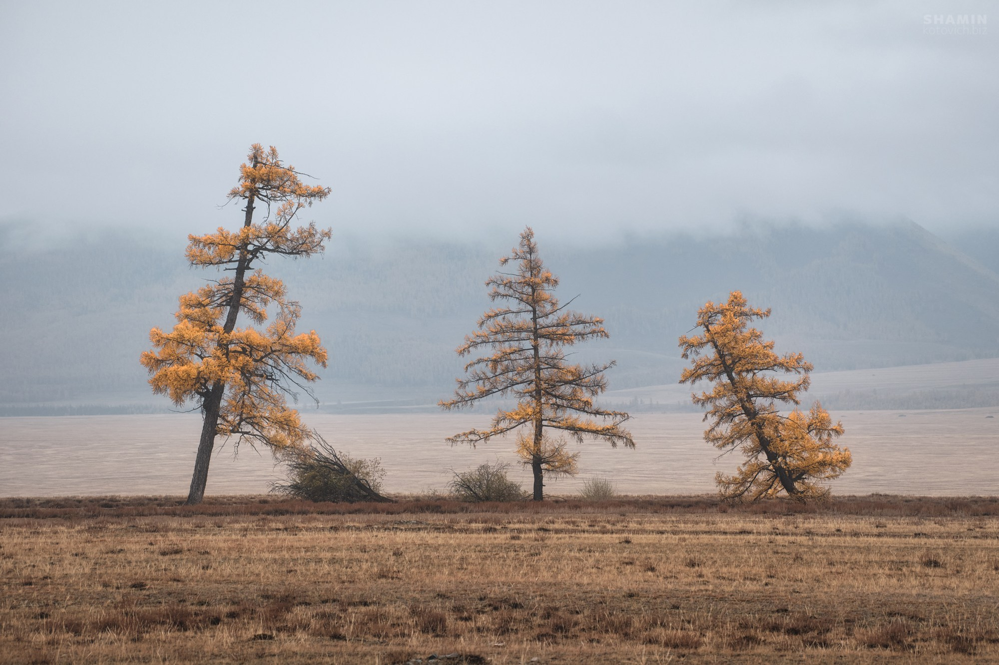 Алтай — пейзажная фотография Константина Шамина. Горы, реки и долины Алтая, природный свет, аэрофотосъёмка и классические пейзажи России.